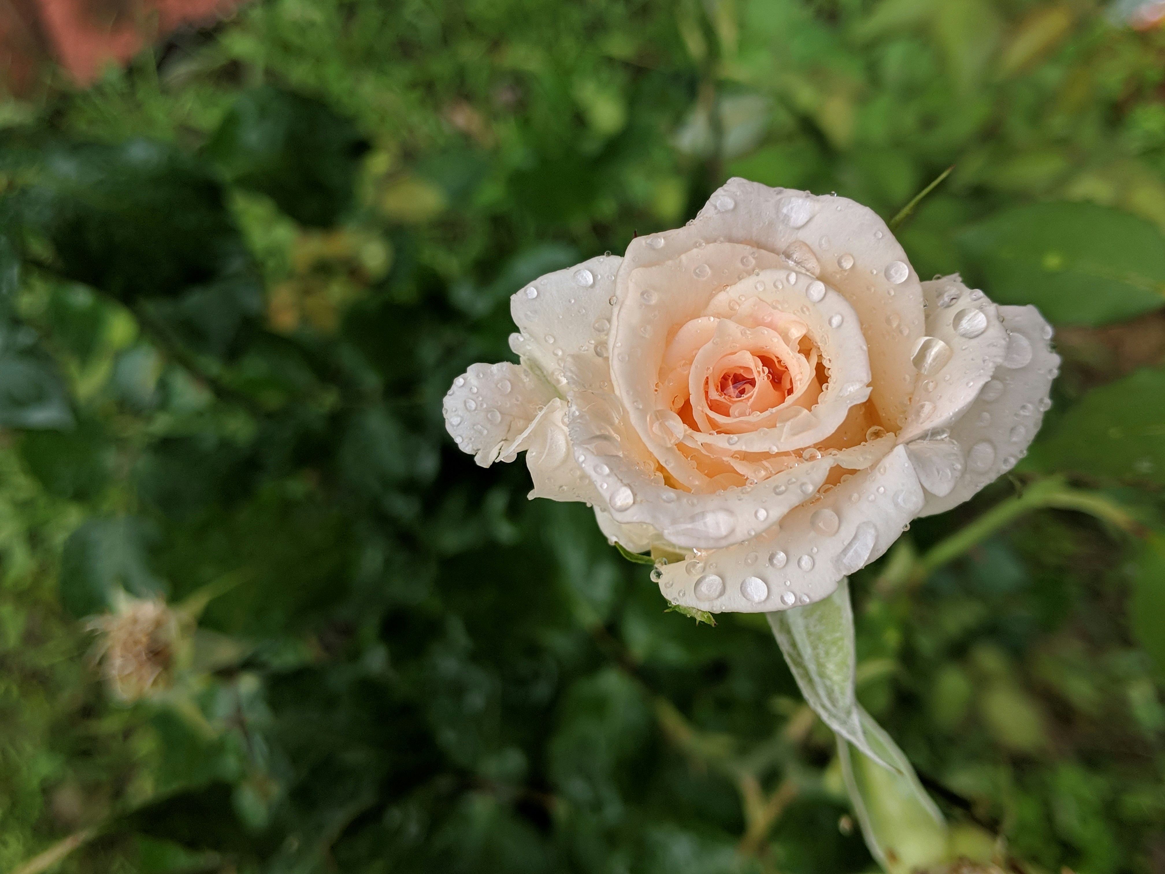 Photo by vibesbyzuko