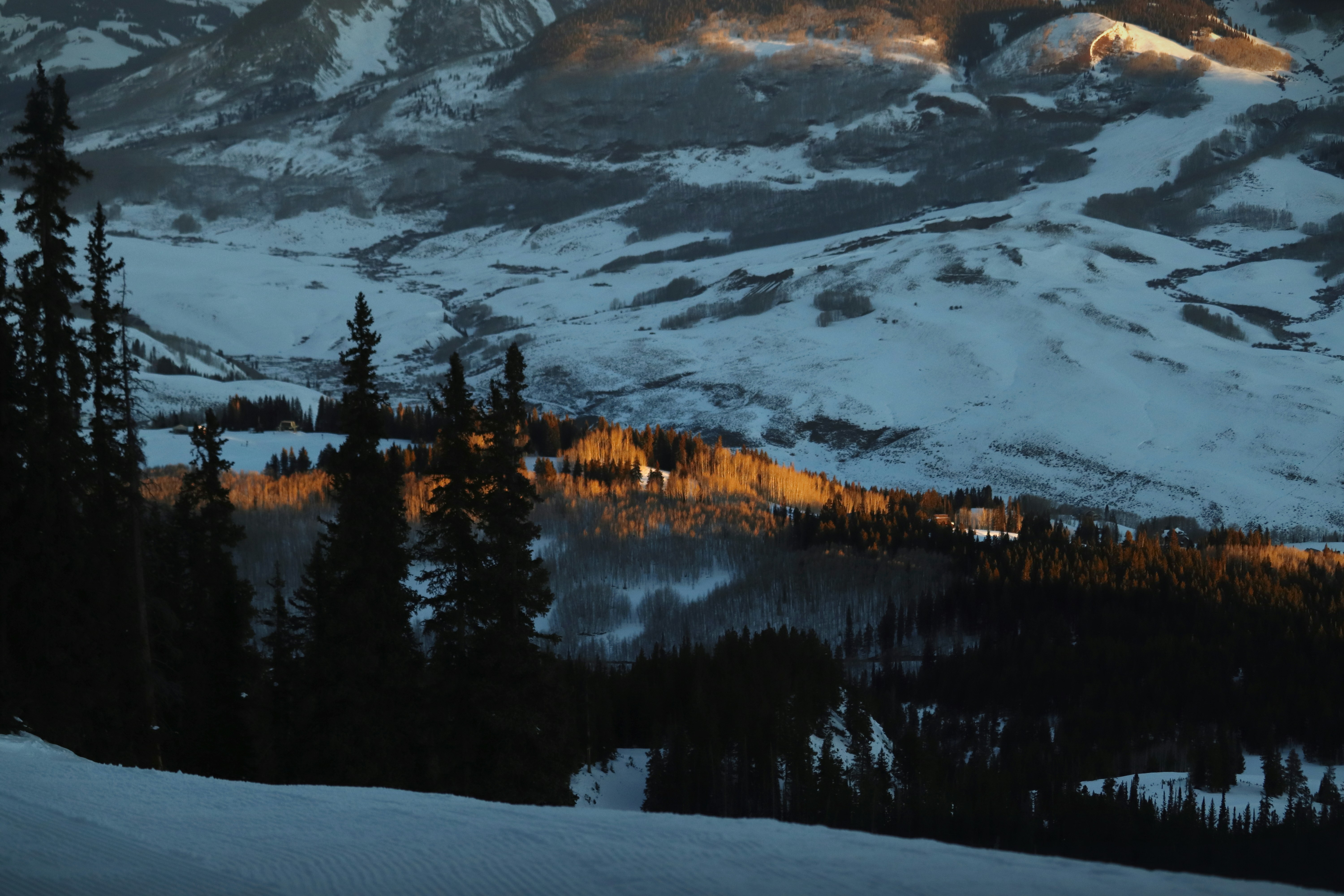 Crested Butte CO community event with music and people enjoying the summer