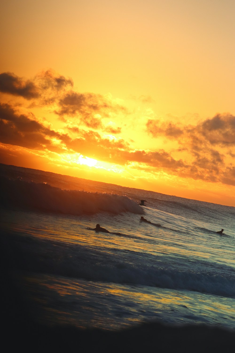 Un grupo de personas montando tablas de surf en la parte superior de una ola