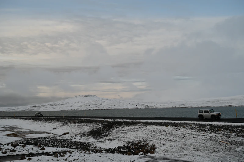 Best Gluten-Free Restaurants and Cafes in Seydisfjordur