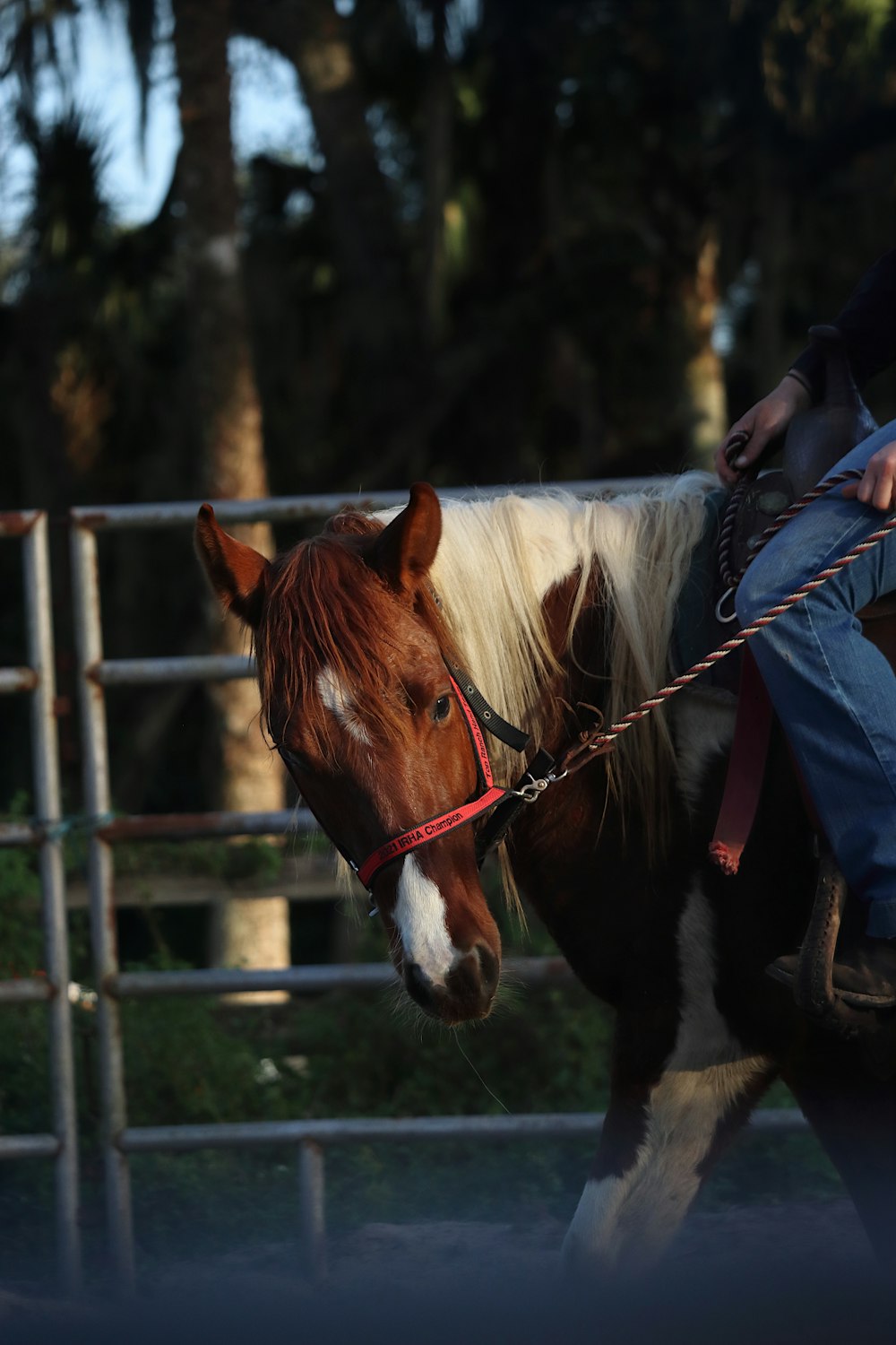 a man riding on the back of a brown and white horse