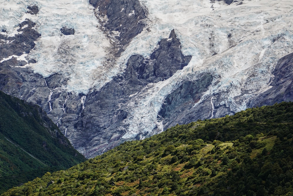 a large mountain covered in snow next to a forest