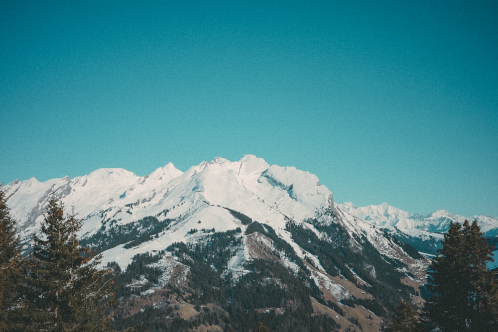 a snow covered mountain with trees in the foreground