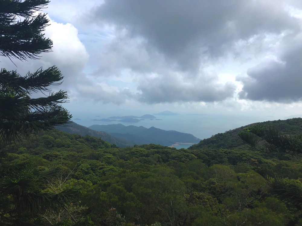 Una vista de las montañas y los árboles desde la cima de una colina