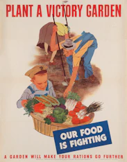 a poster advertising a vegetable garden