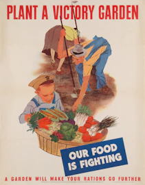 a poster advertising a vegetable garden