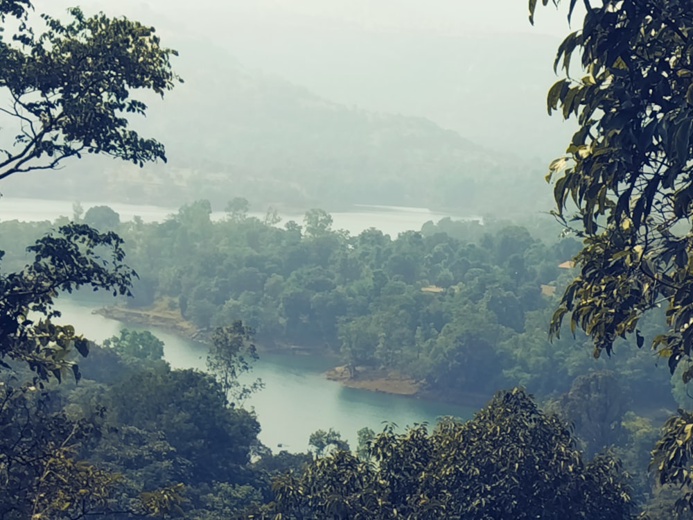 a view of a lake surrounded by trees