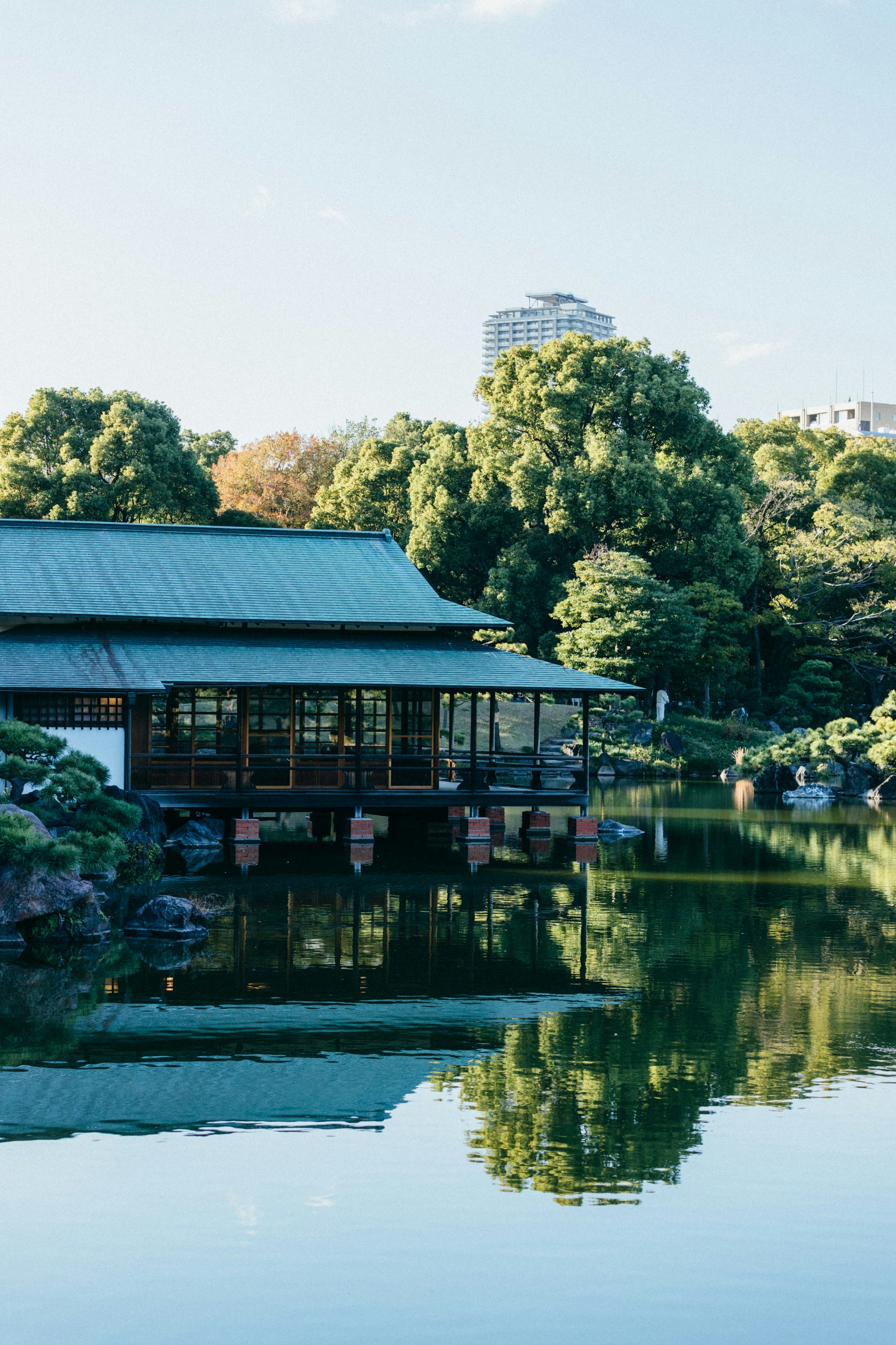 Photo by tsuyoshikozu