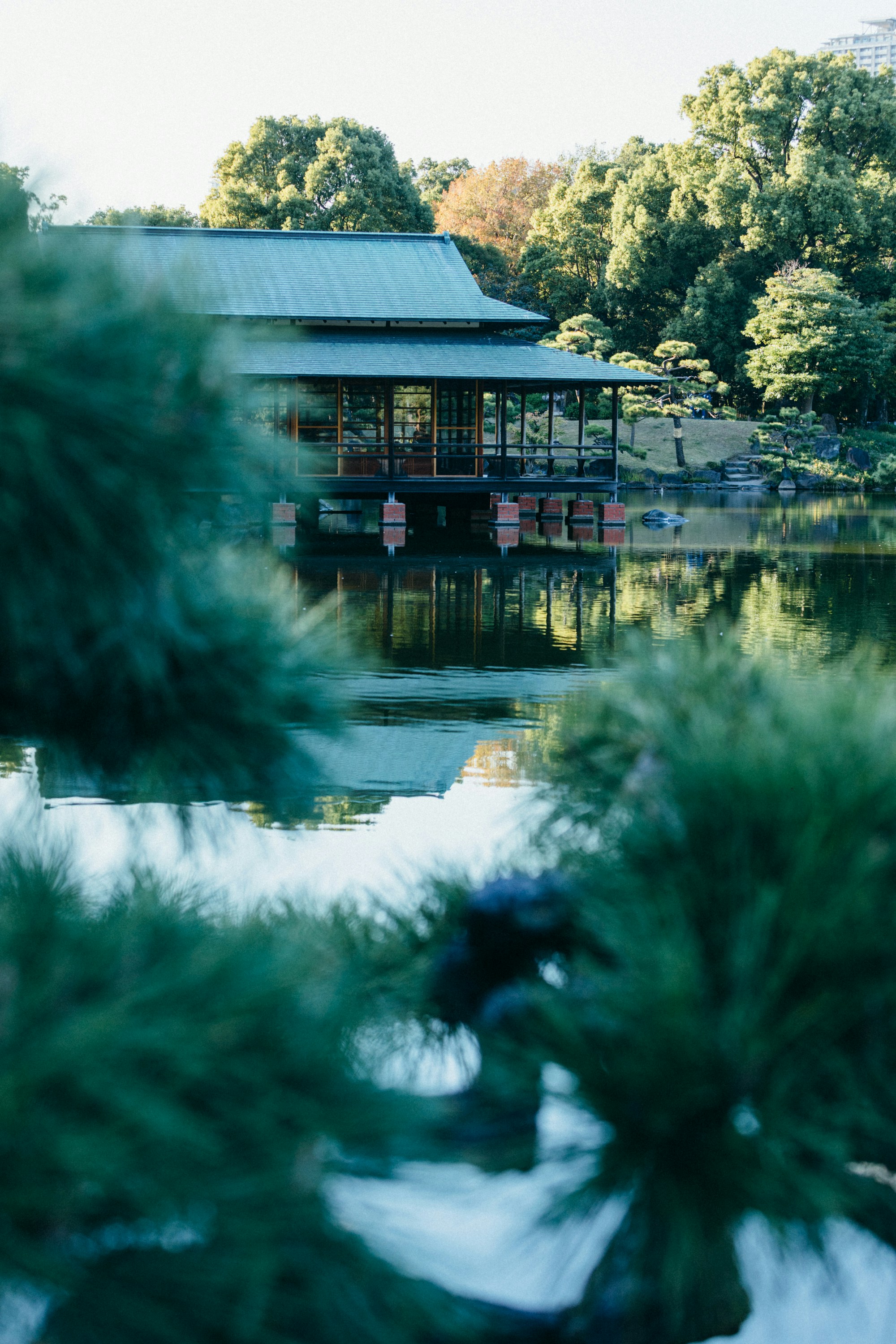 Photo by tsuyoshikozu