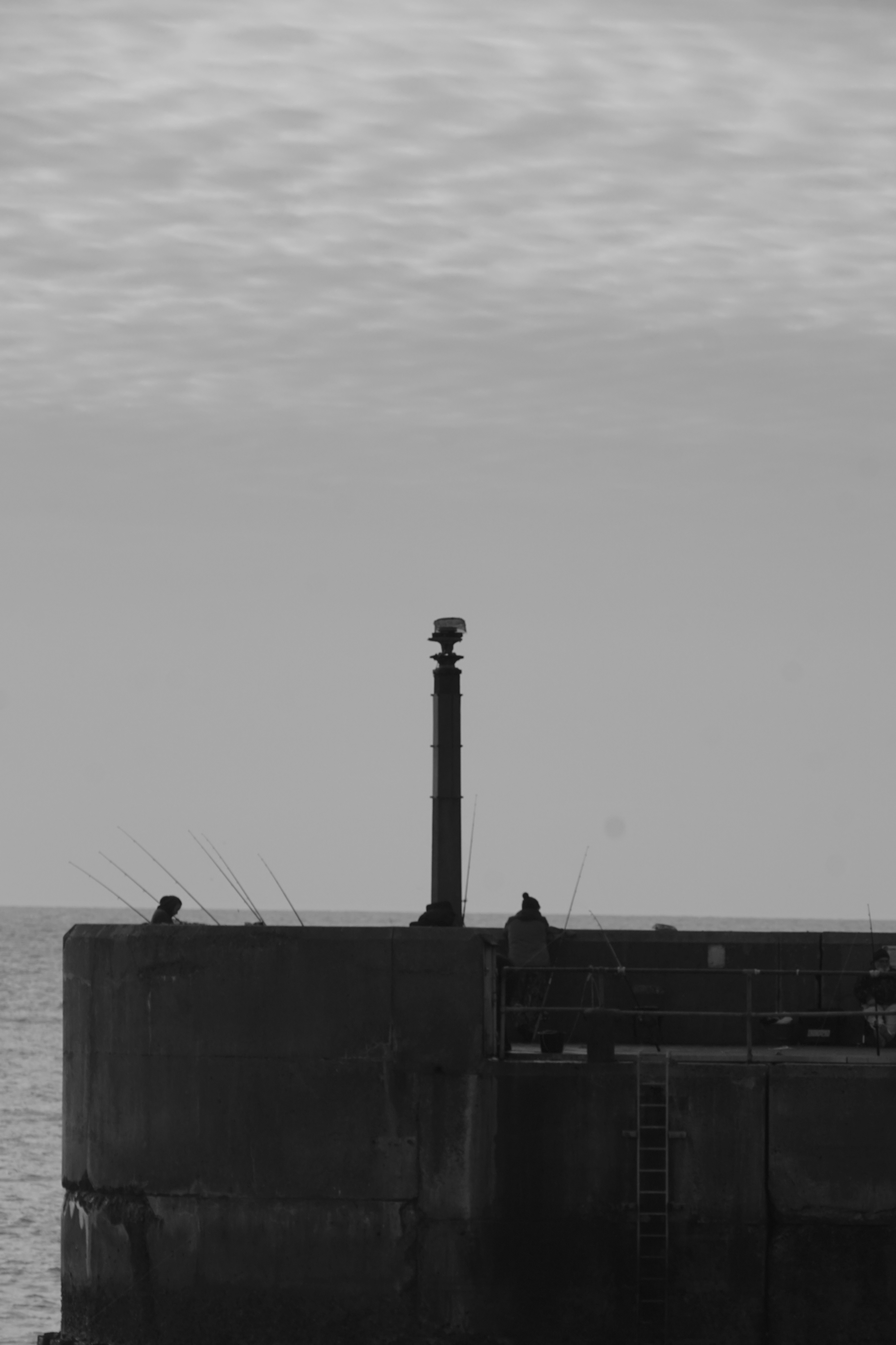 Photo by luca_capron