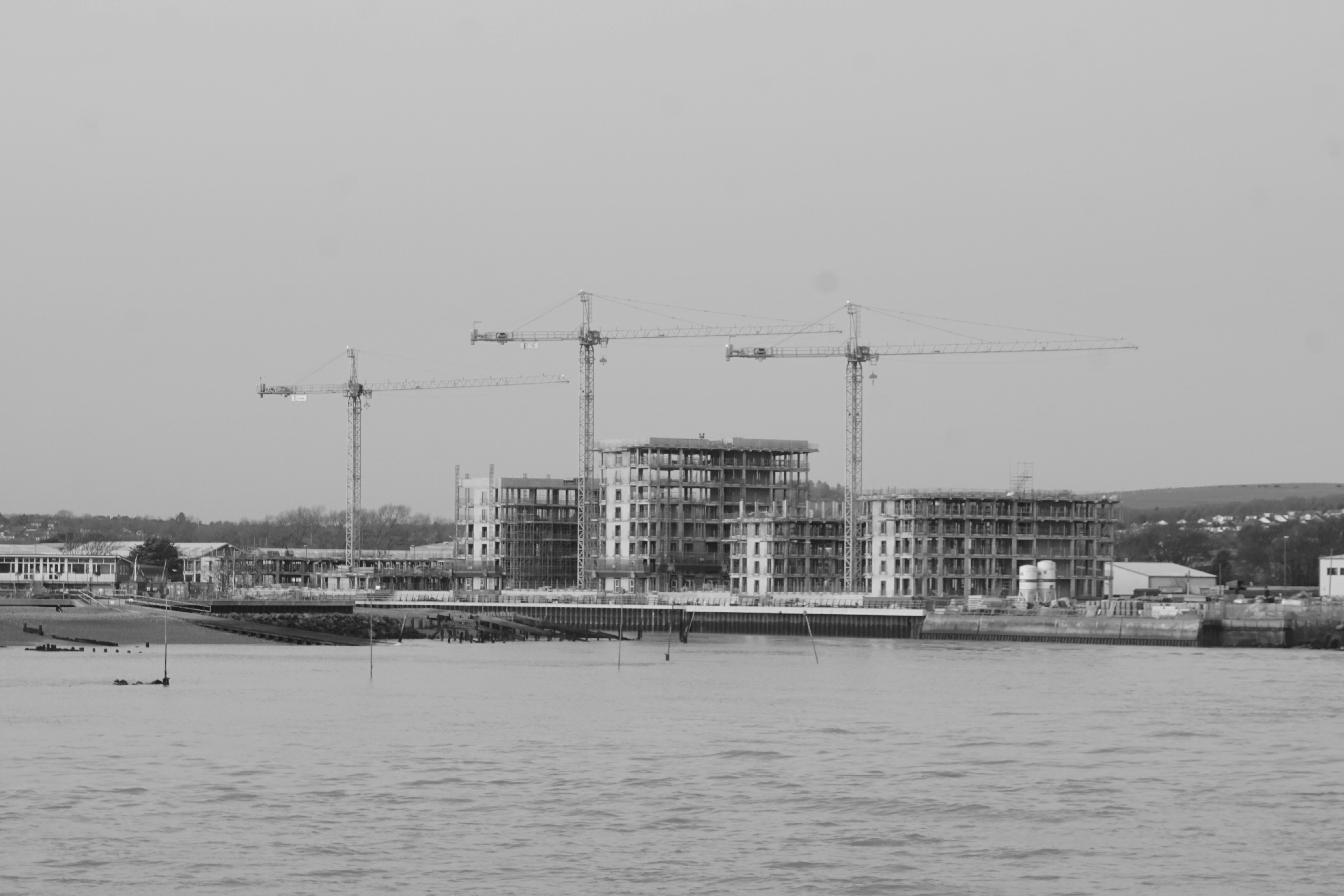 Photo by luca_capron