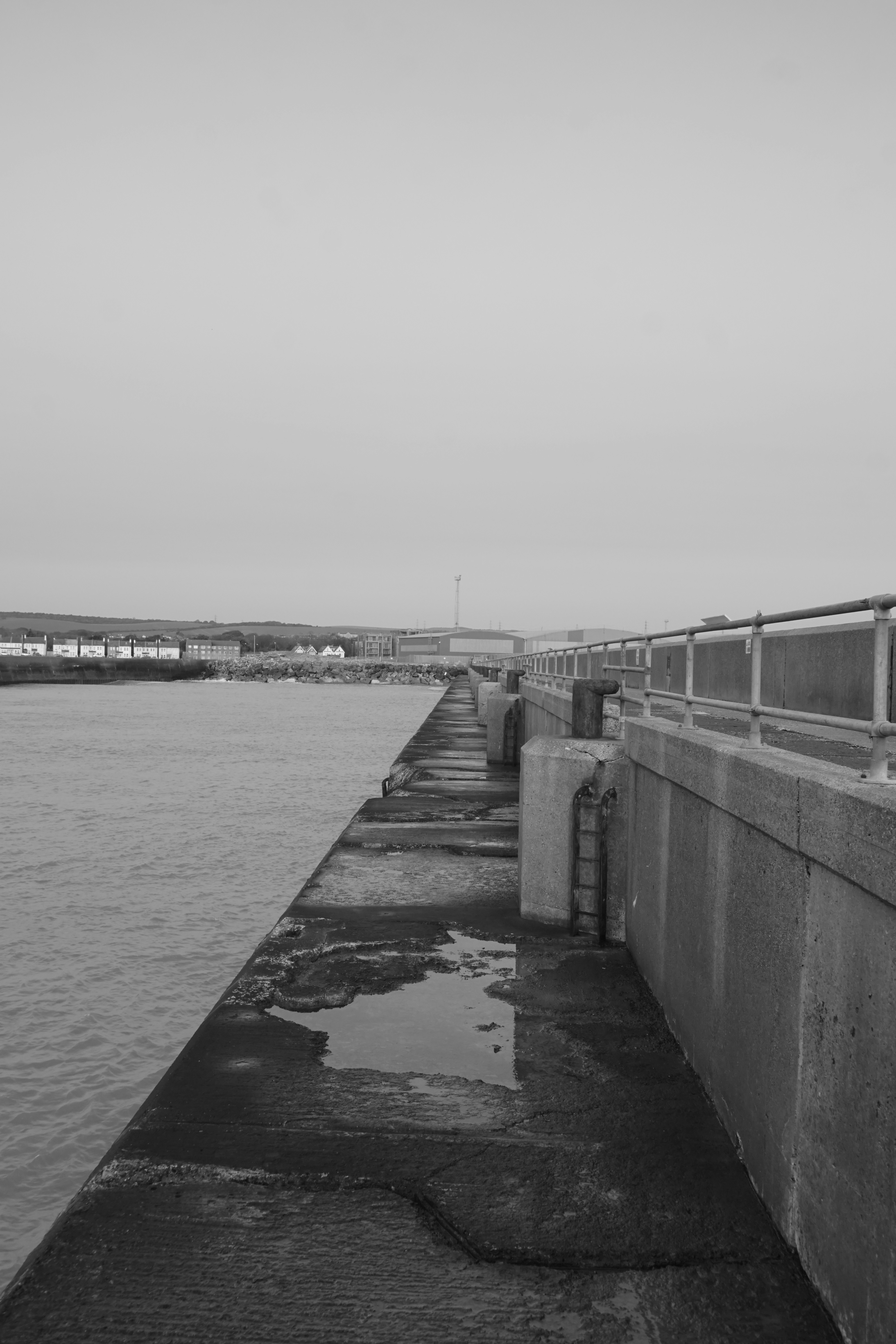 Photo by luca_capron