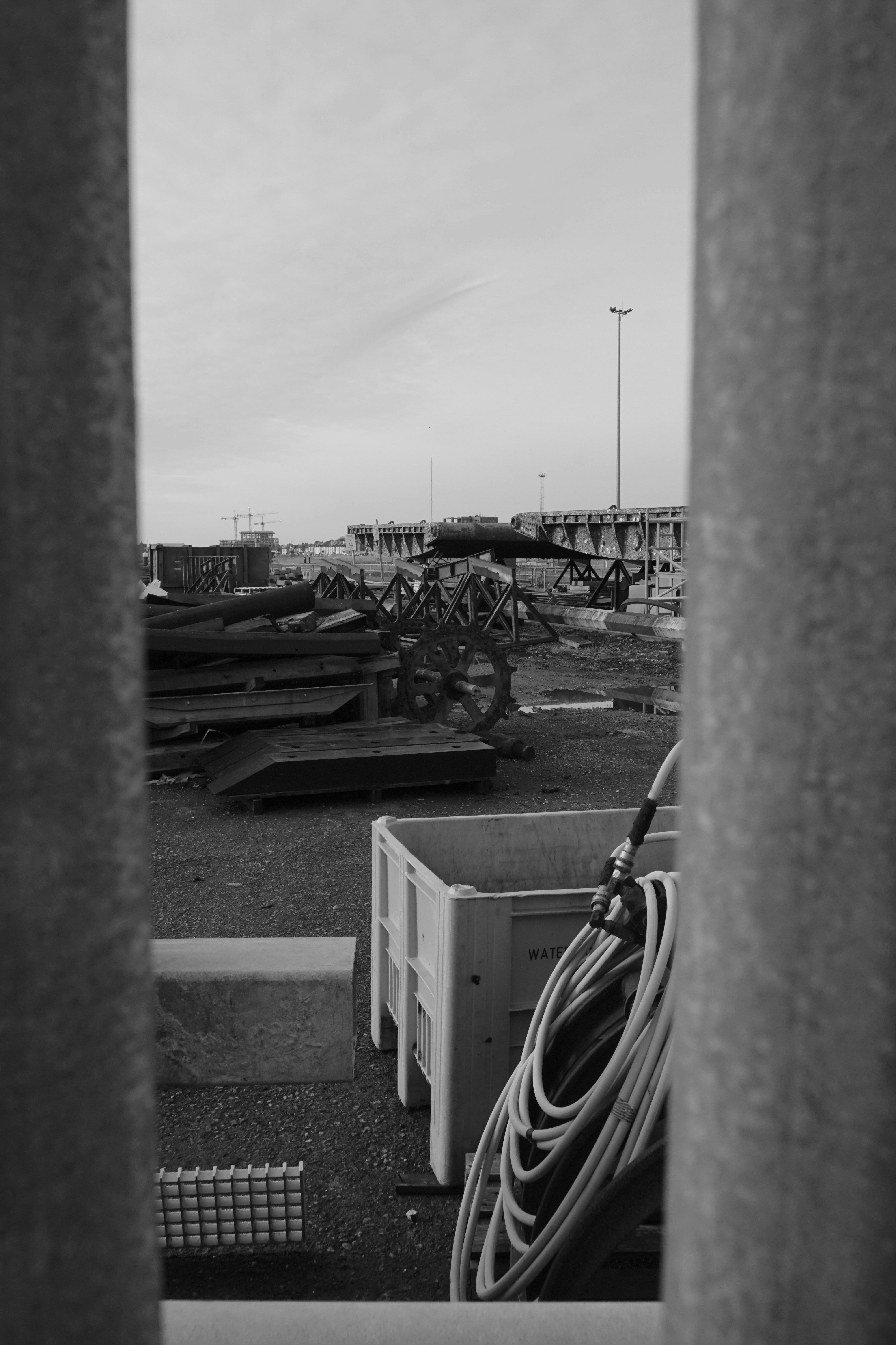 Photo by luca_capron