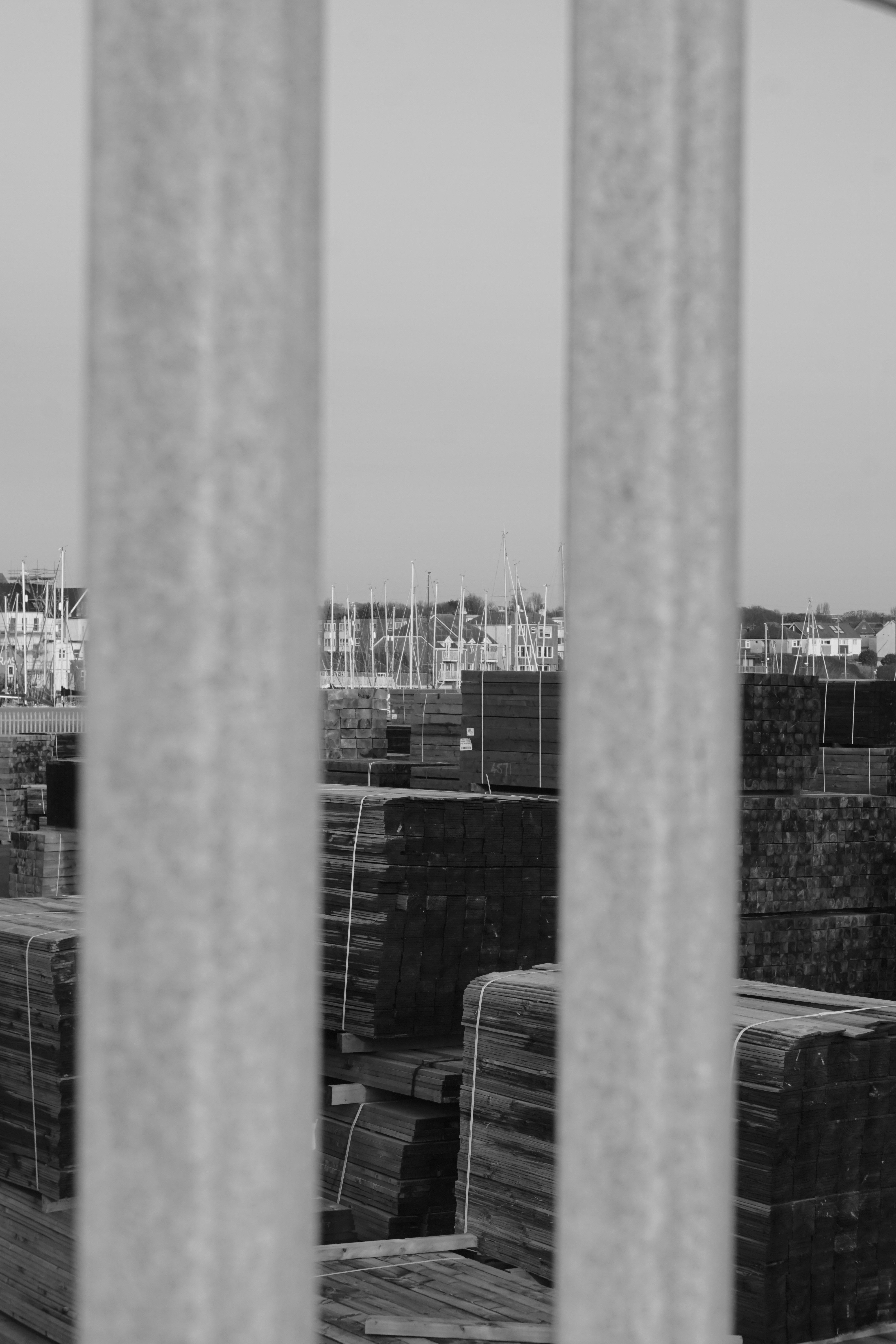 Photo by luca_capron