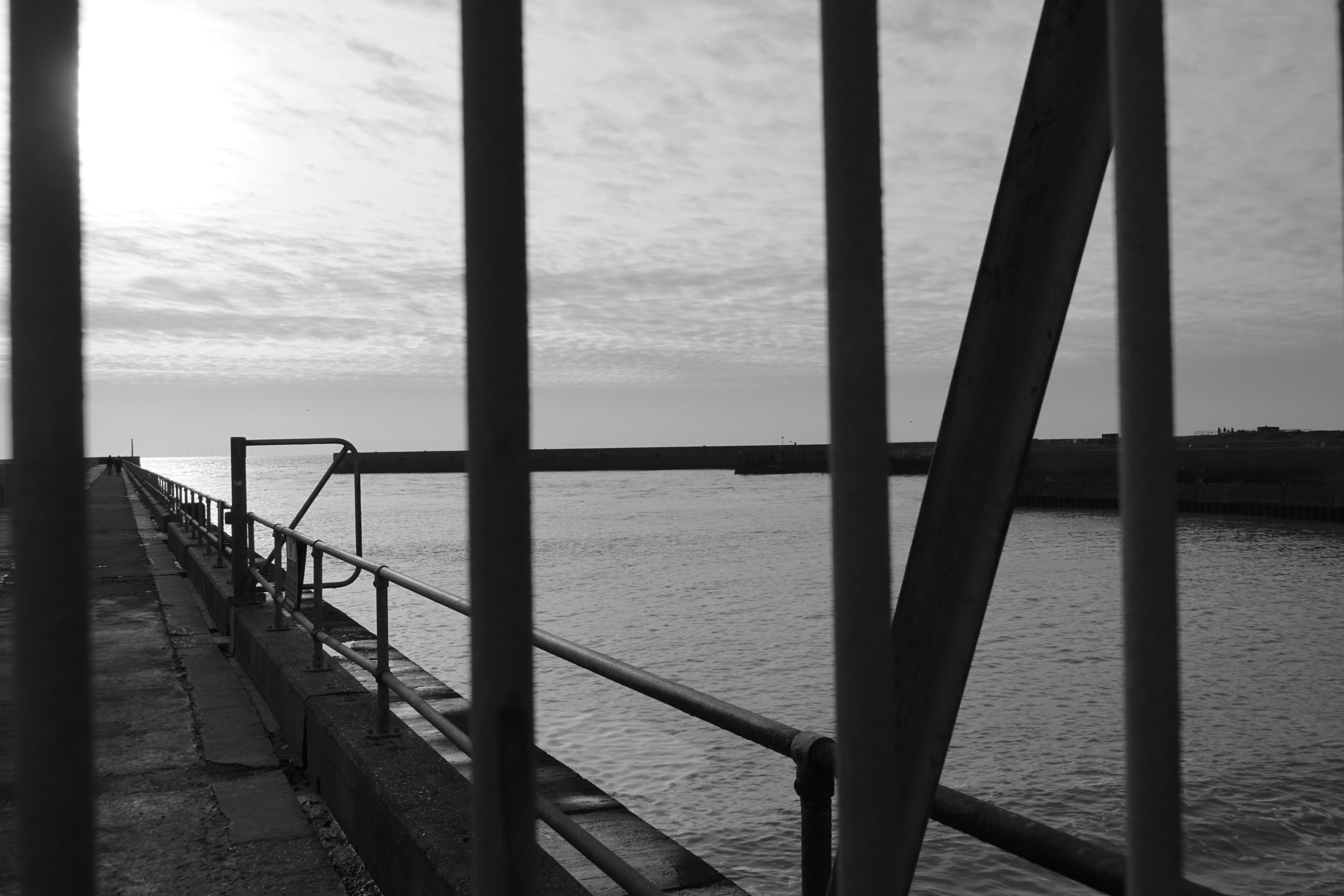 Photo by luca_capron