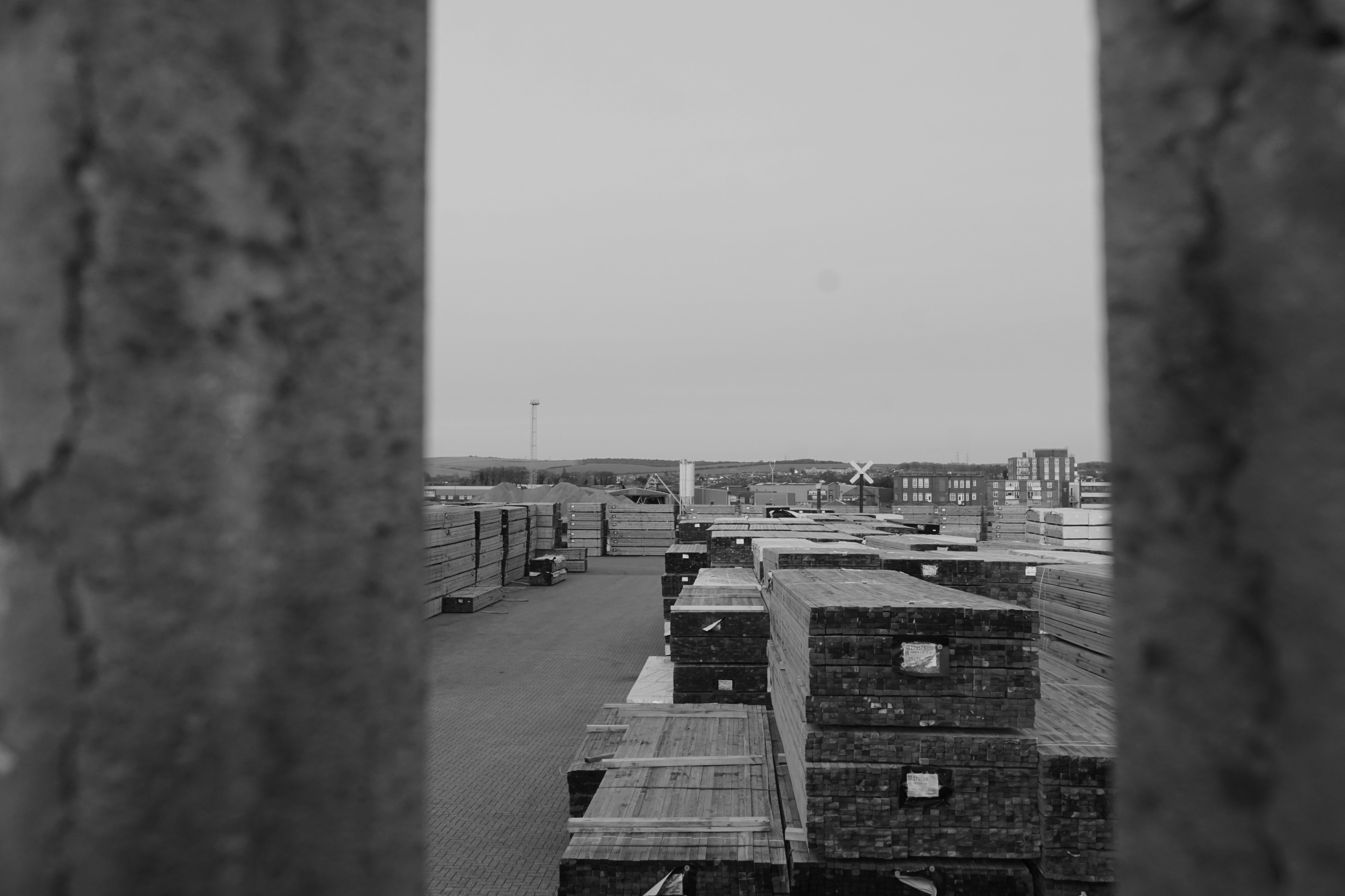 Photo by luca_capron