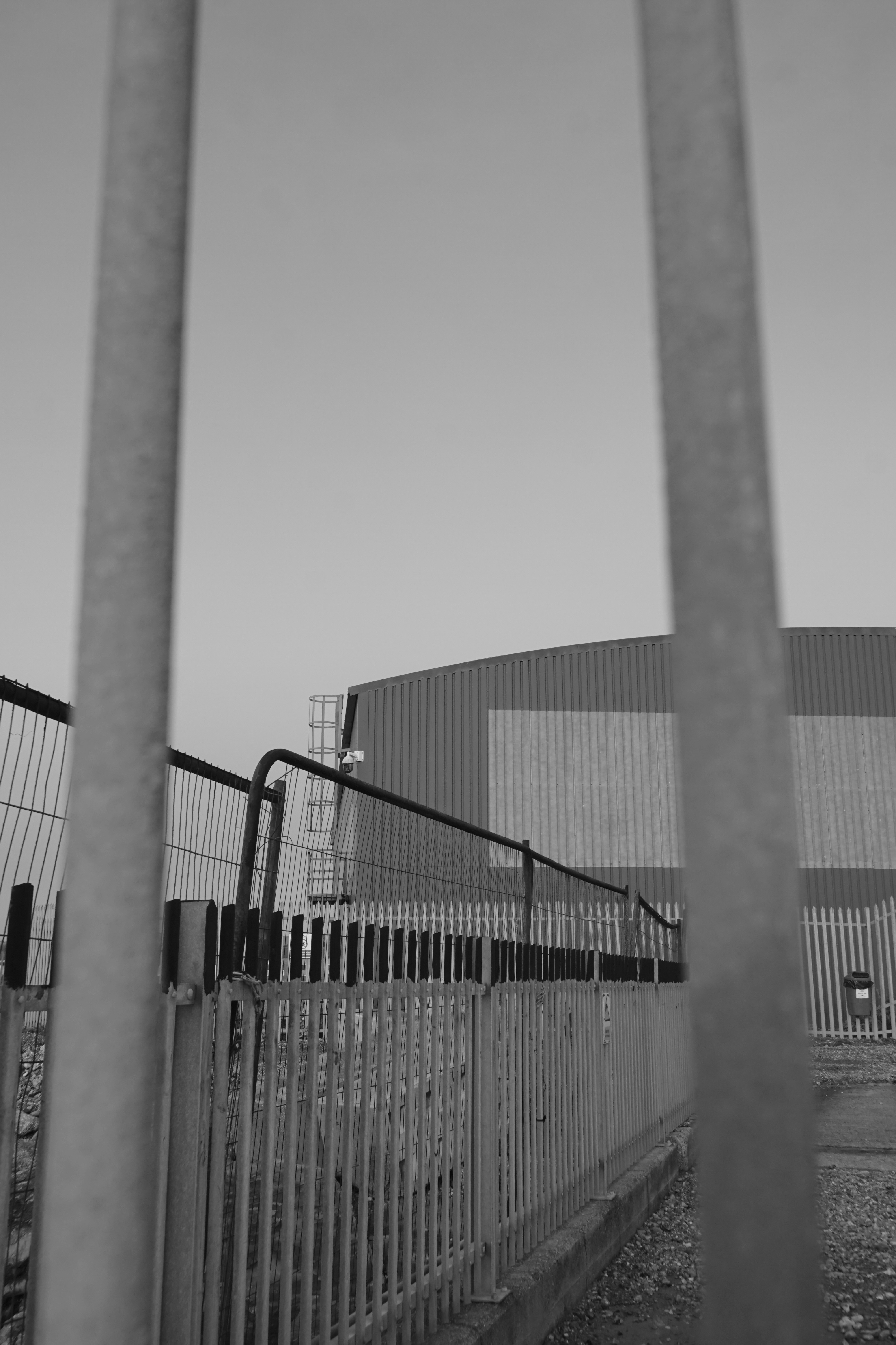 Photo by luca_capron