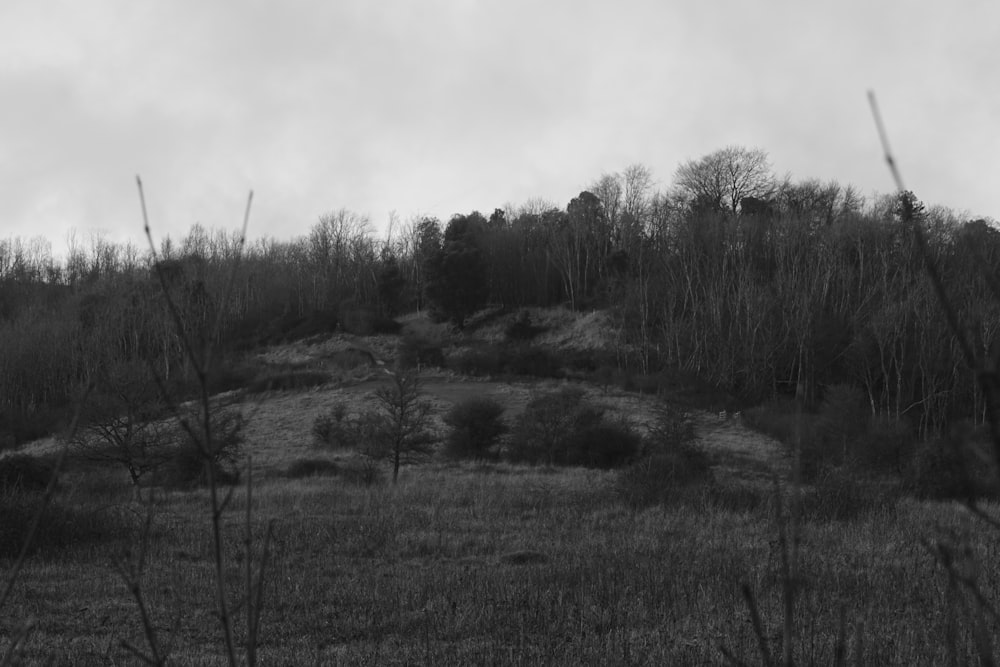 a black and white photo of a grassy hill