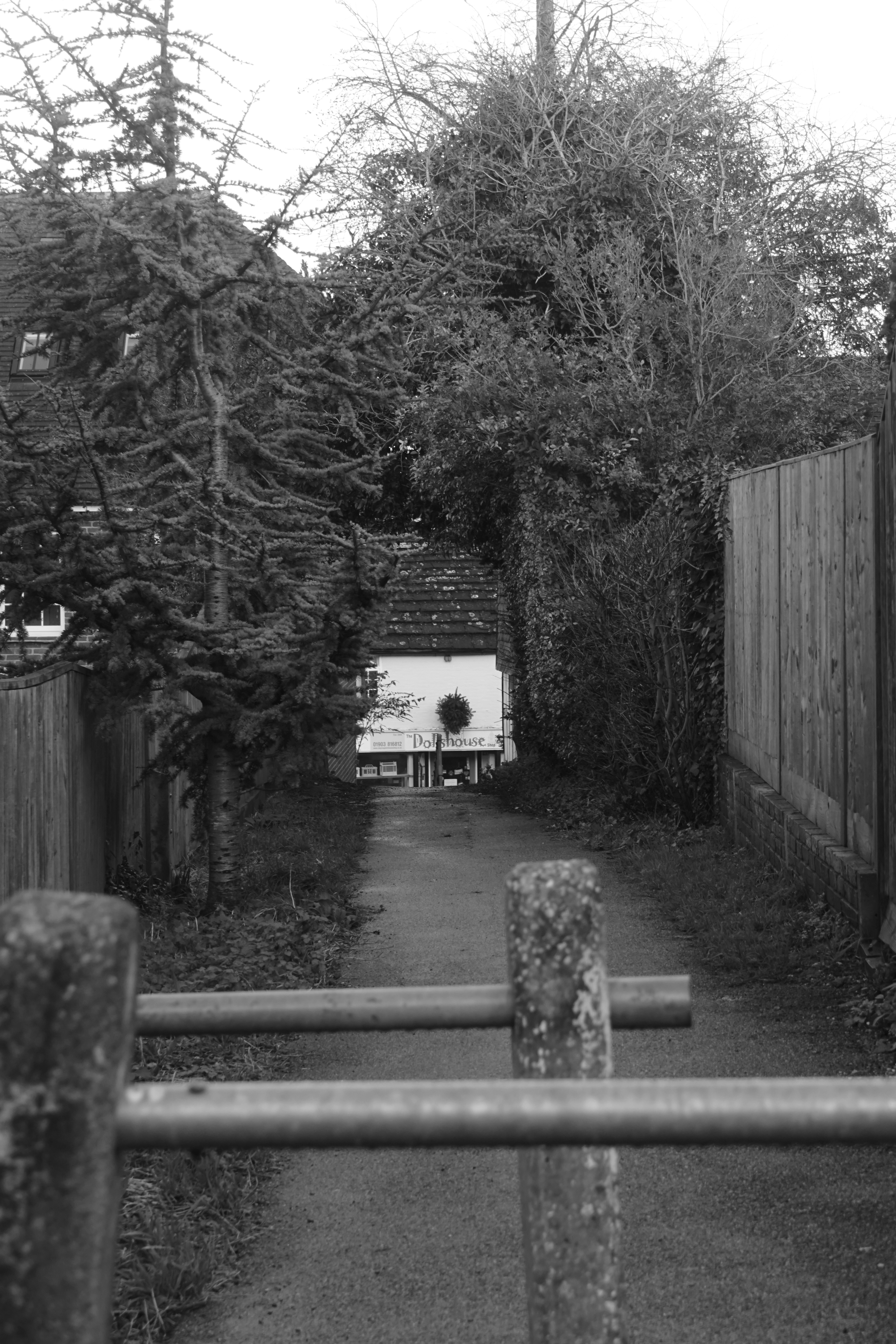 Photo by luca_capron