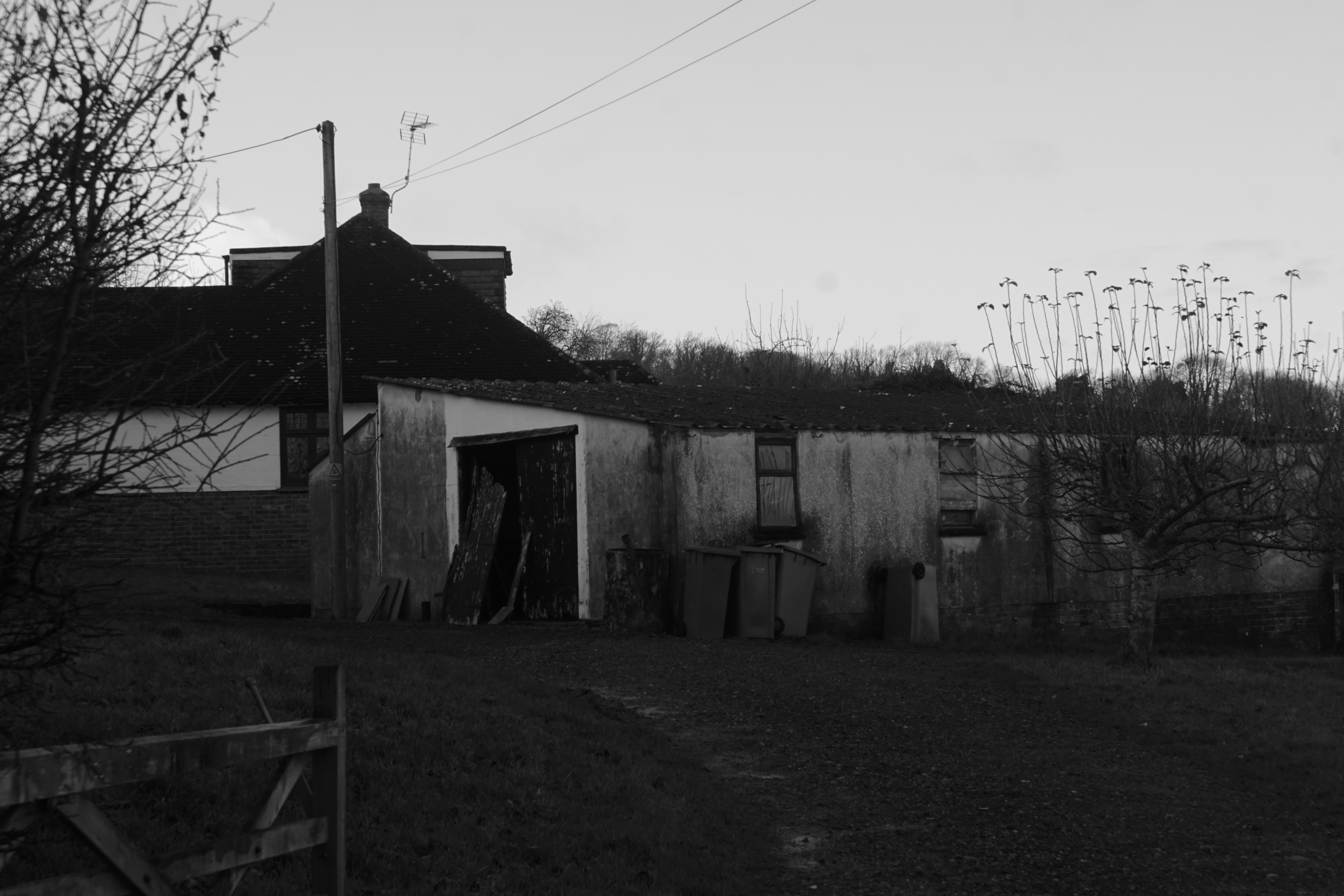 Photo by luca_capron