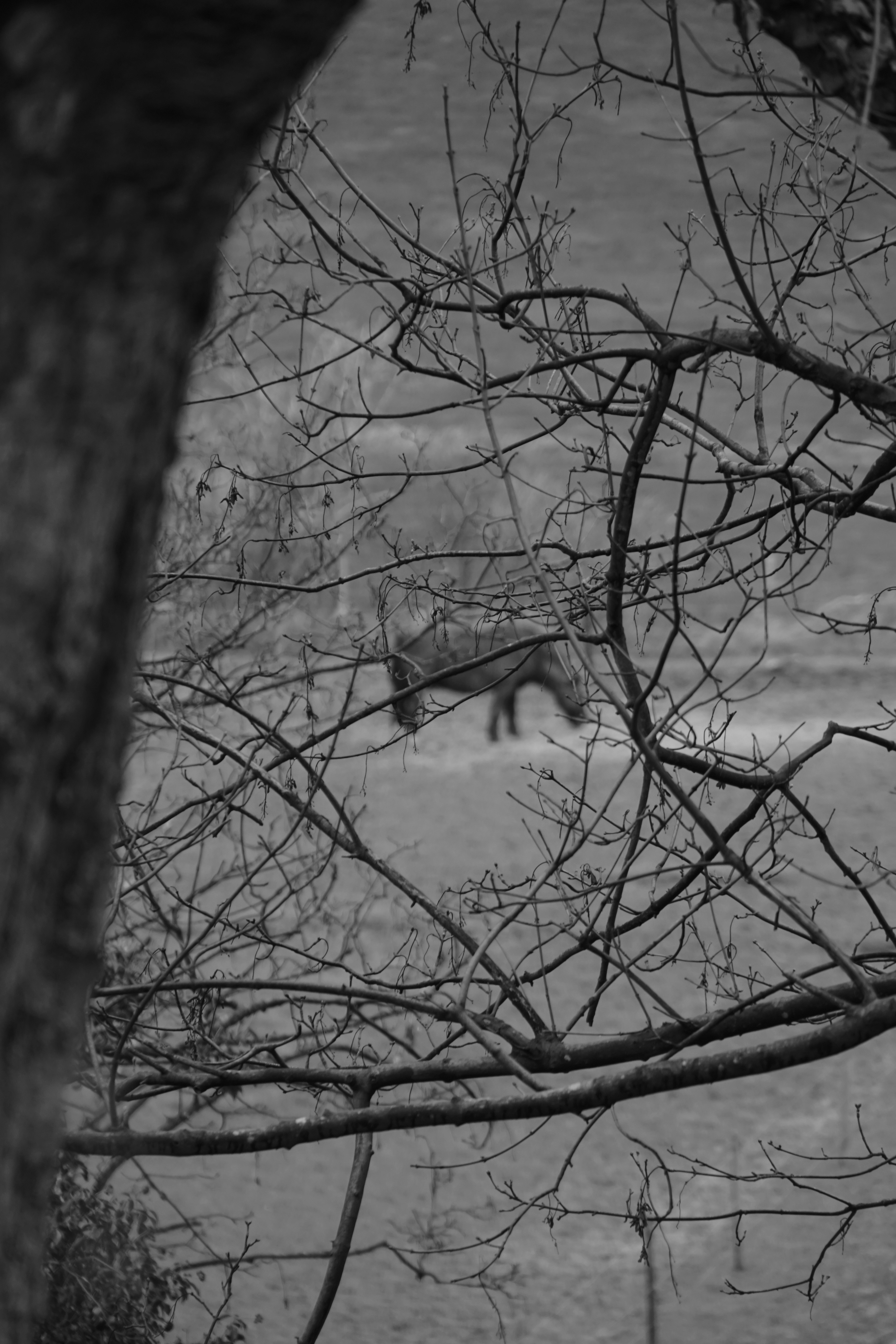 Photo by luca_capron