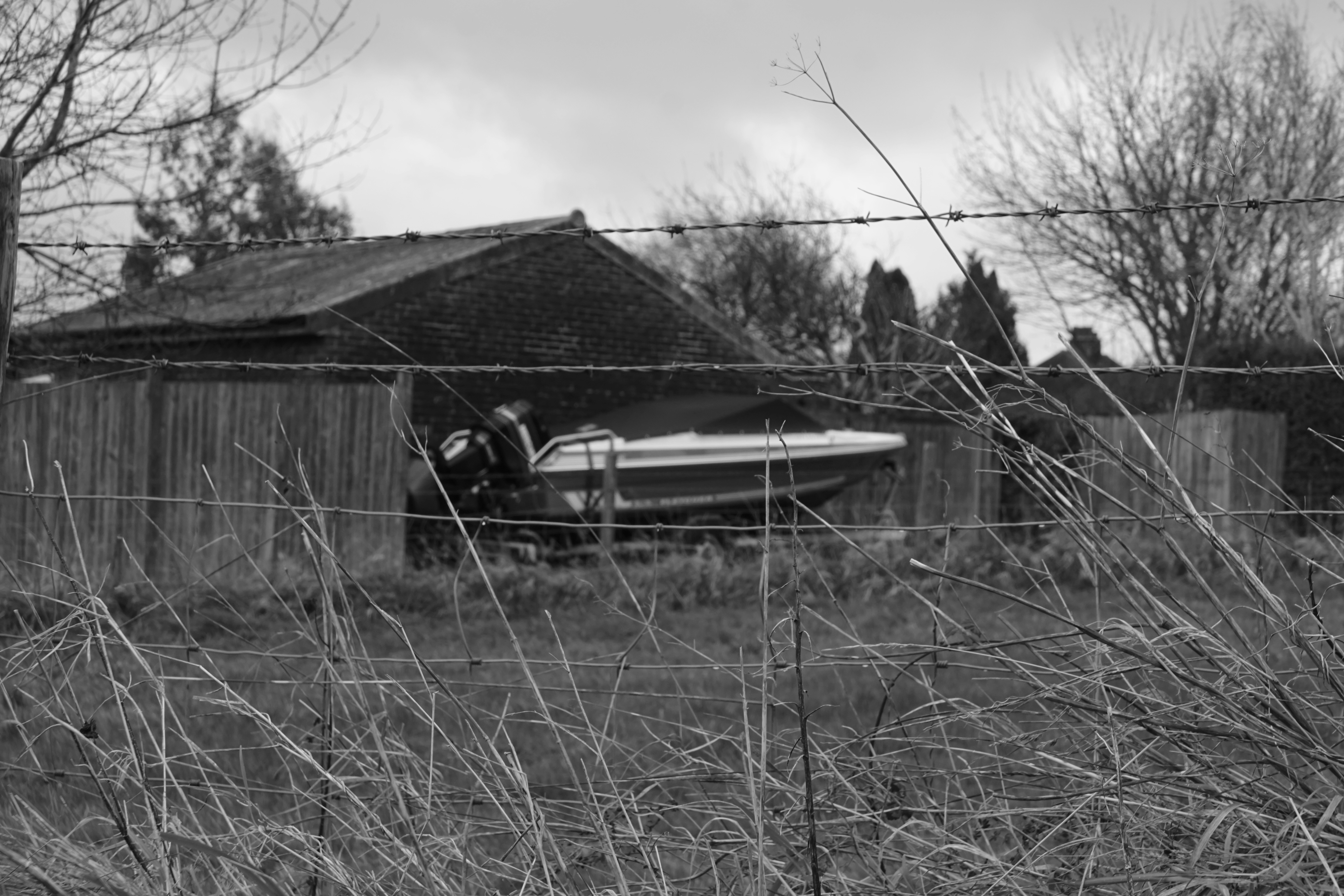 Photo by luca_capron