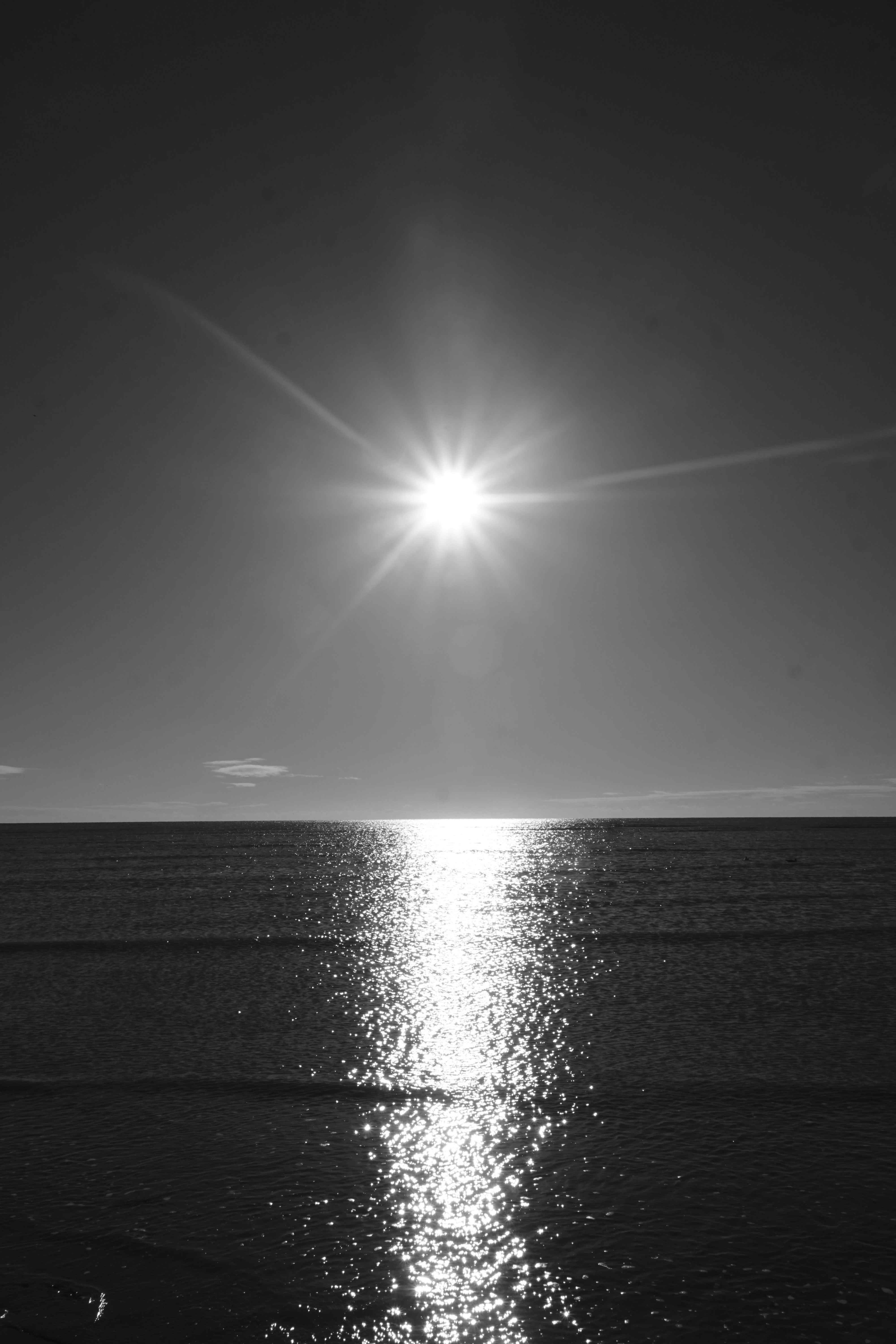 Photo by luca_capron