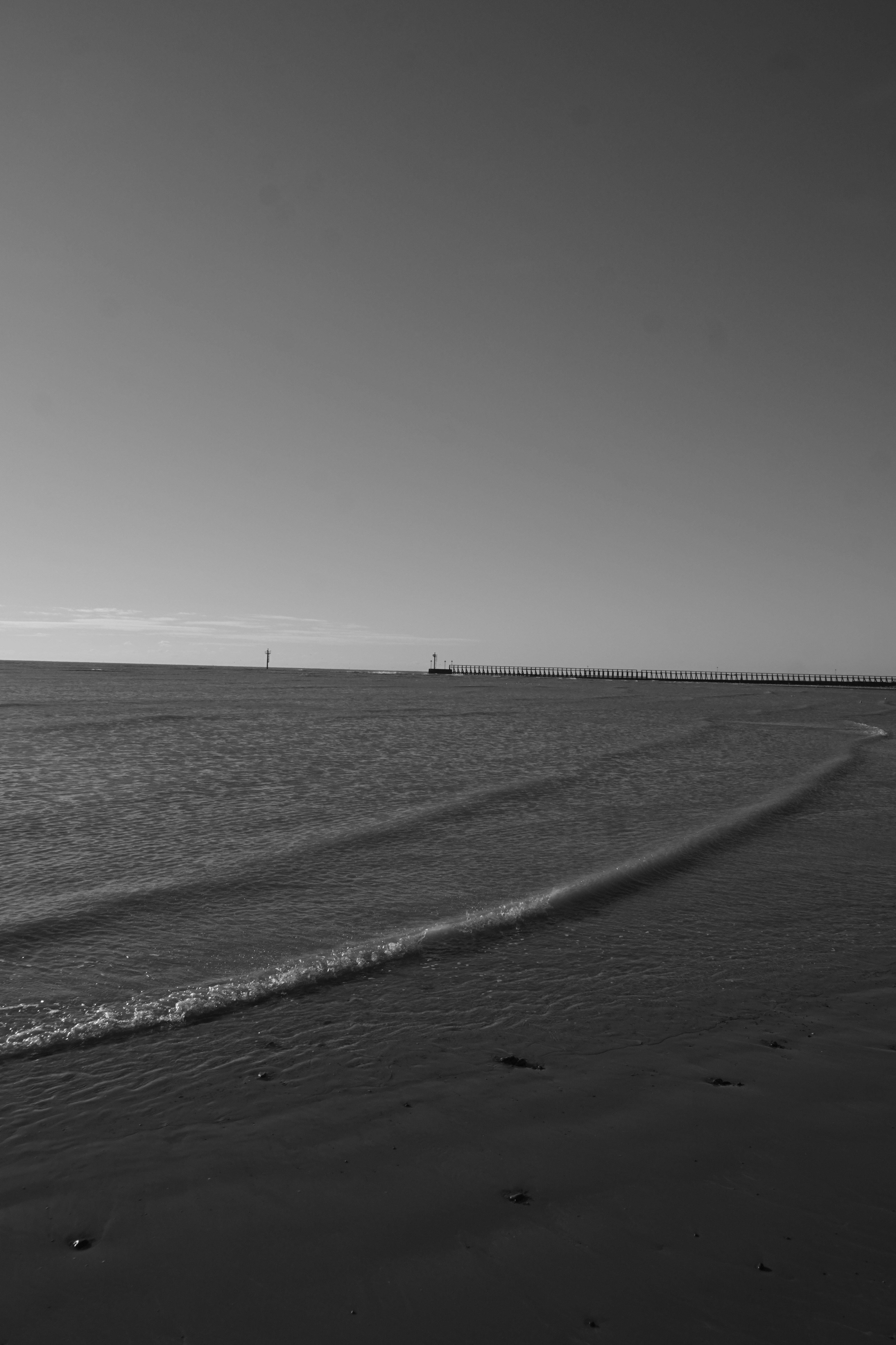 Photo by luca_capron