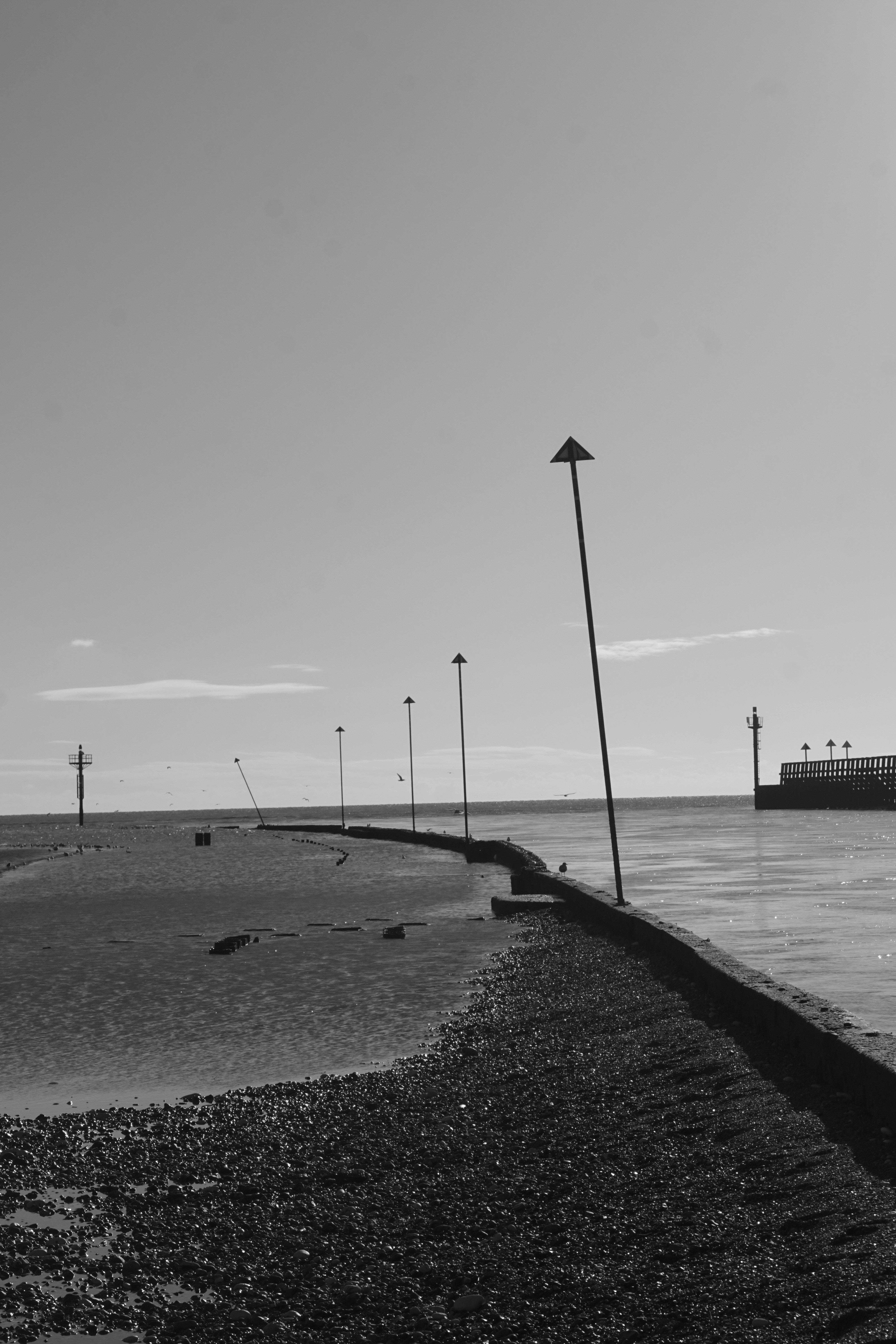 Photo by luca_capron