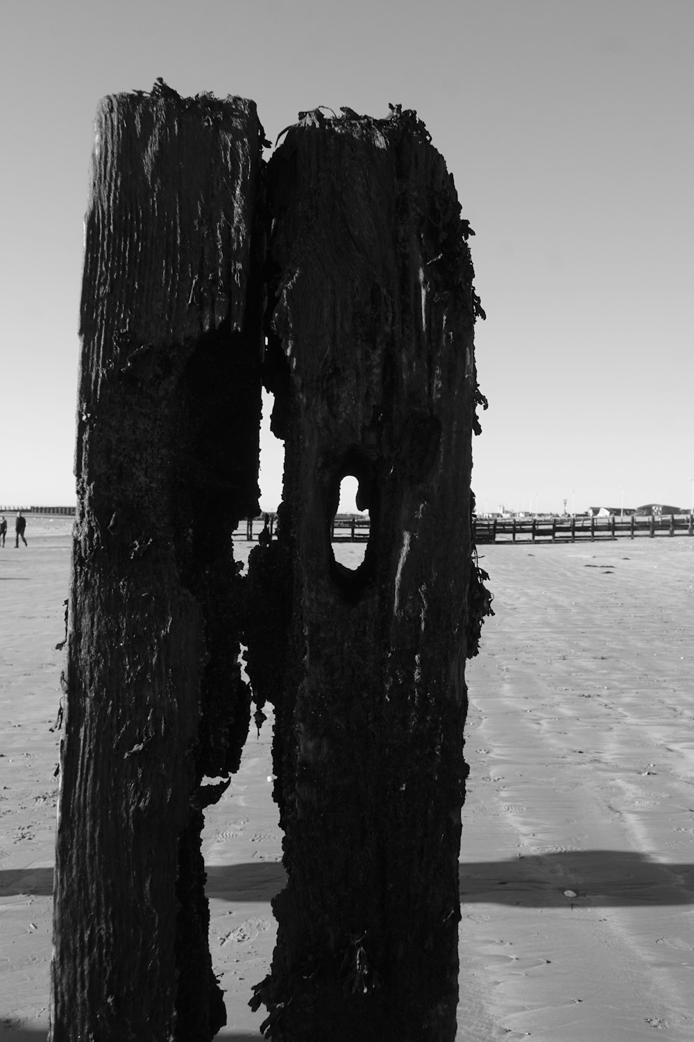 a black and white photo of a piece of wood