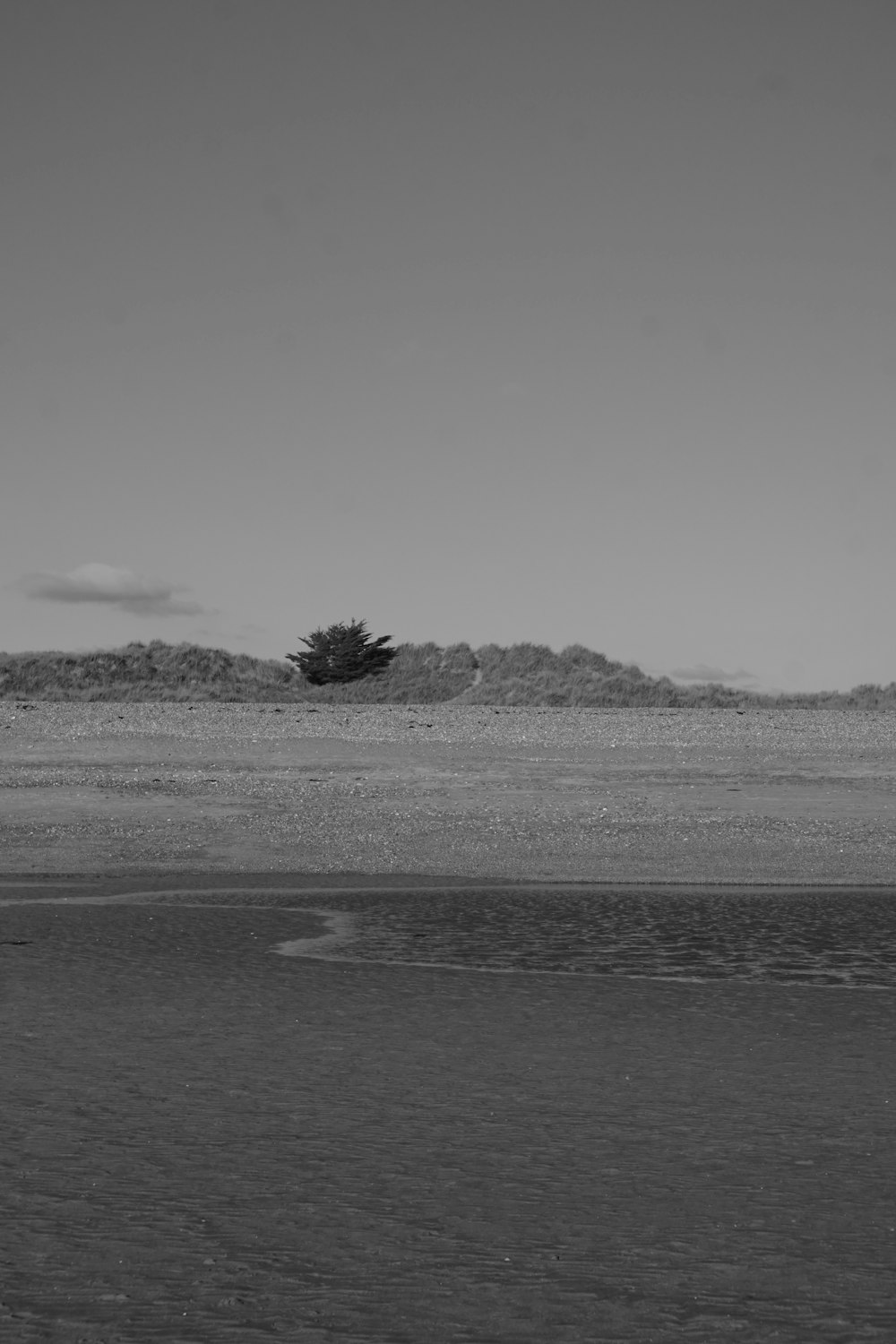 a black and white photo of a lone tree in the distance