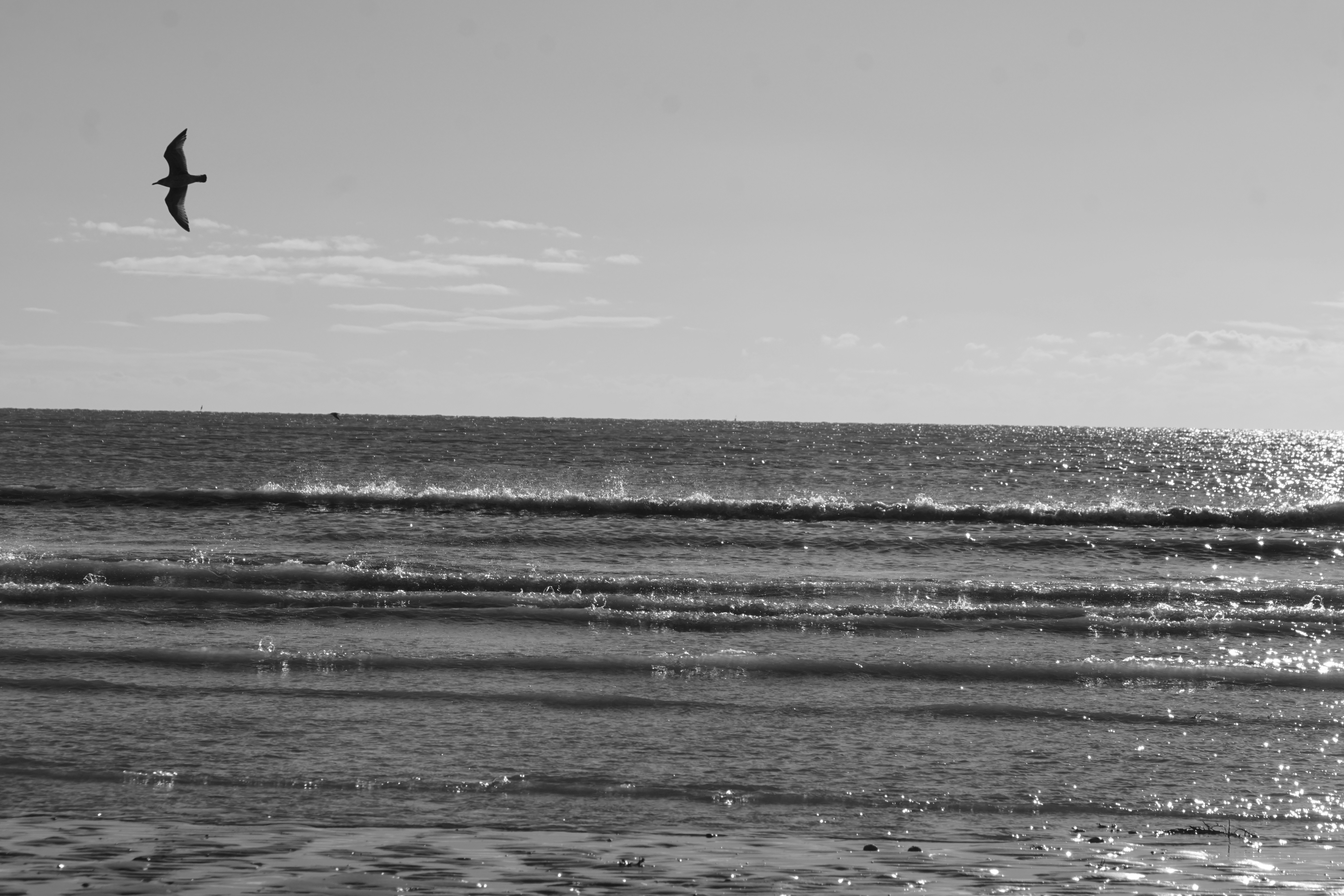 Photo by luca_capron