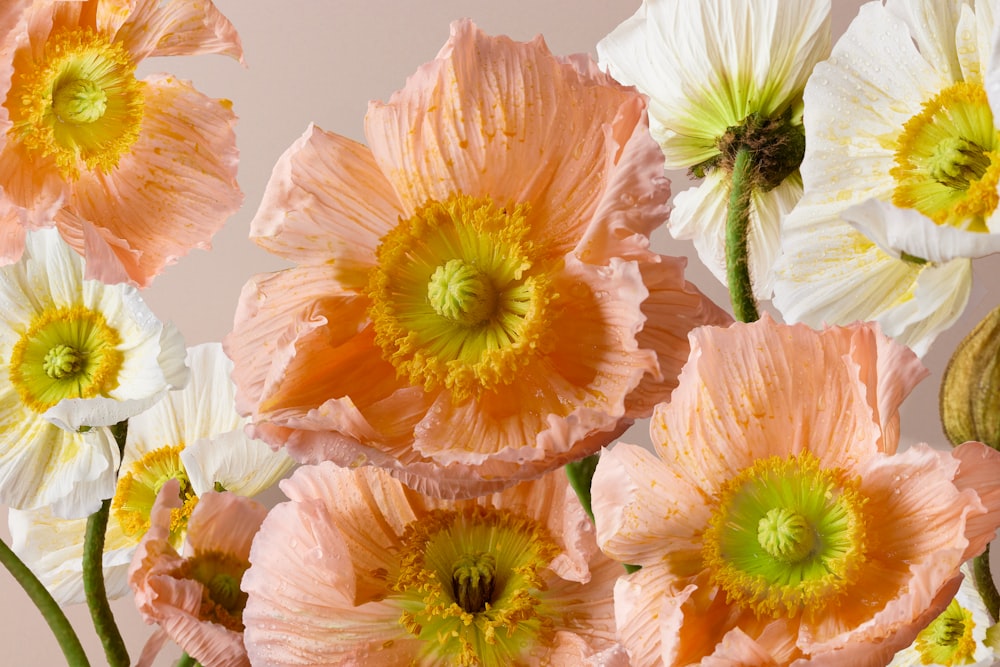 a bunch of pink and white flowers in a vase