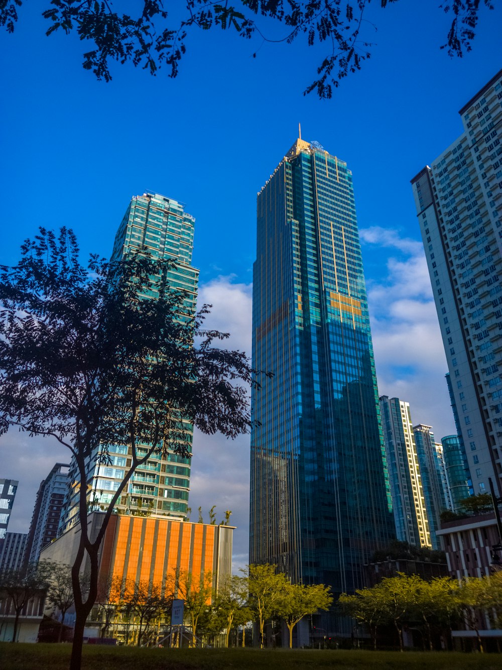 a view of some very tall buildings in a city