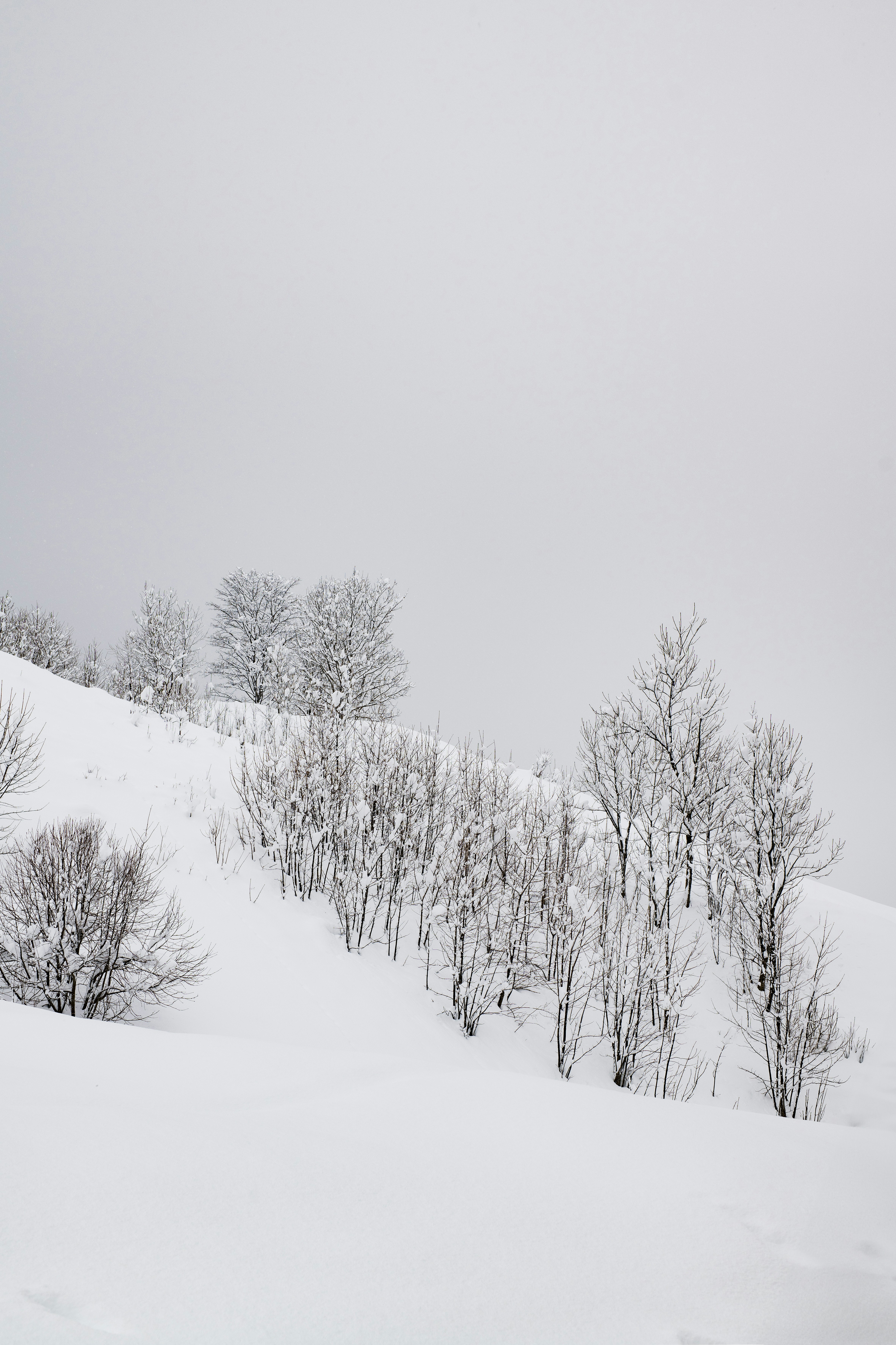 Photo by lauraadaiphoto