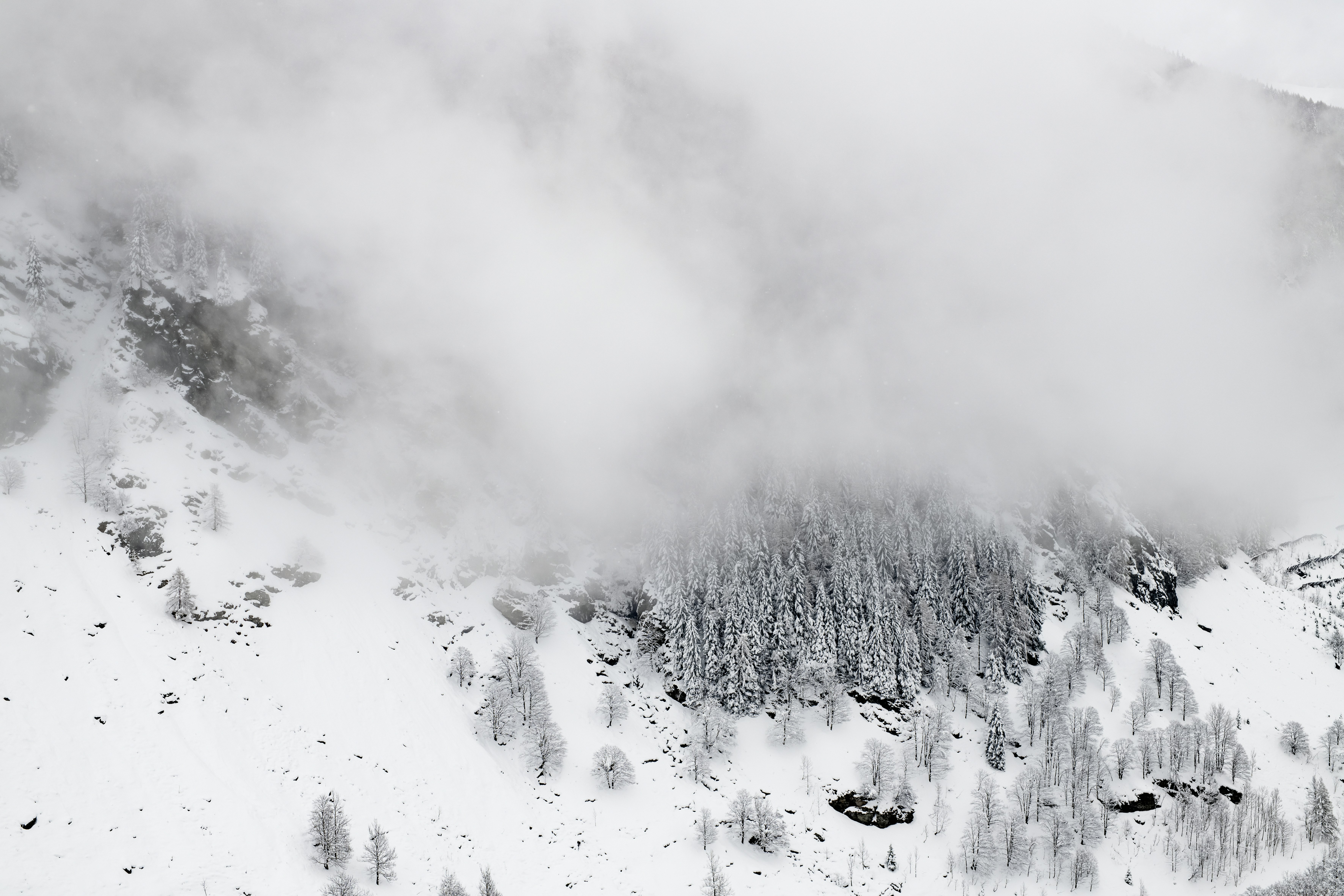 Photo by lauraadaiphoto