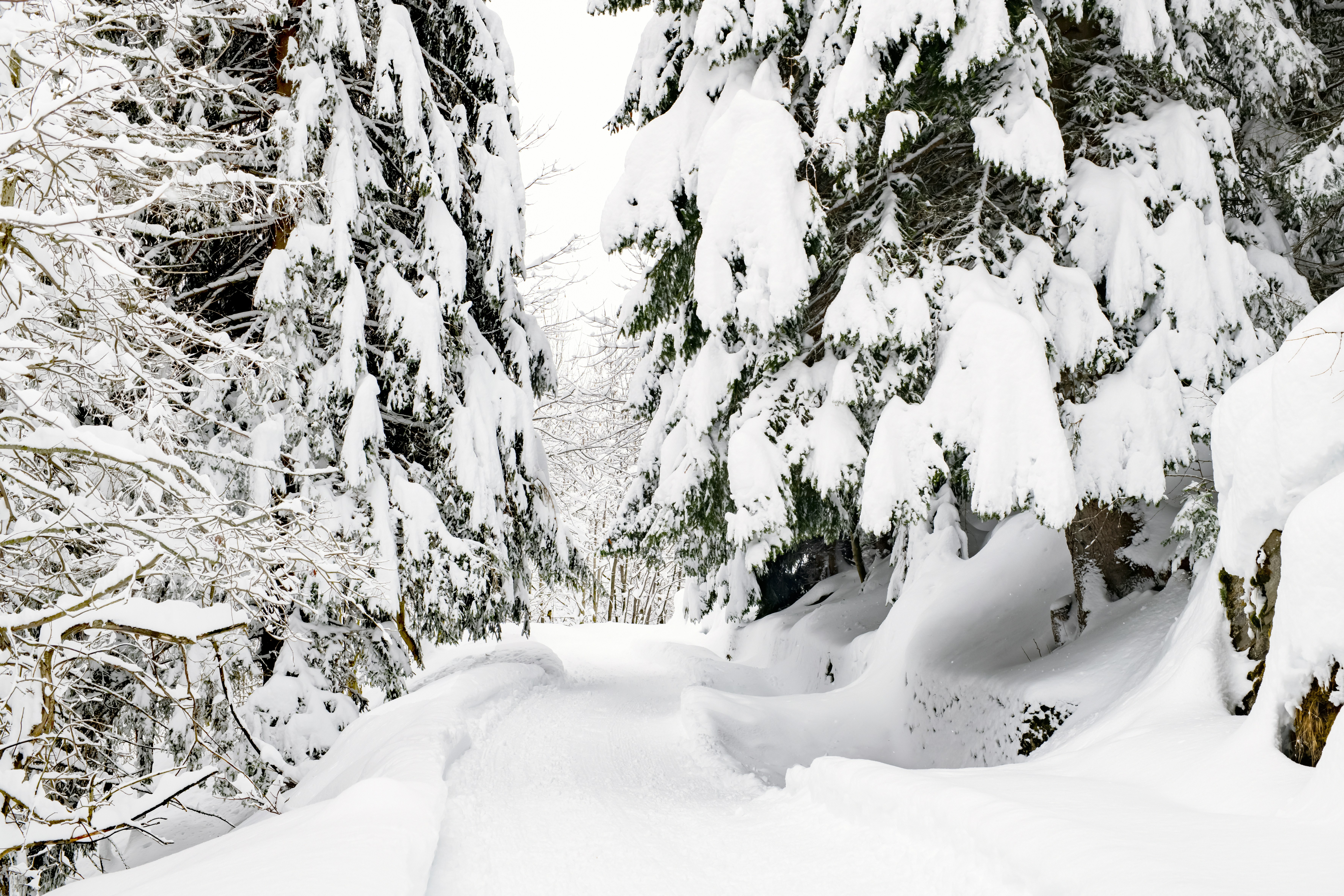 Photo by lauraadaiphoto