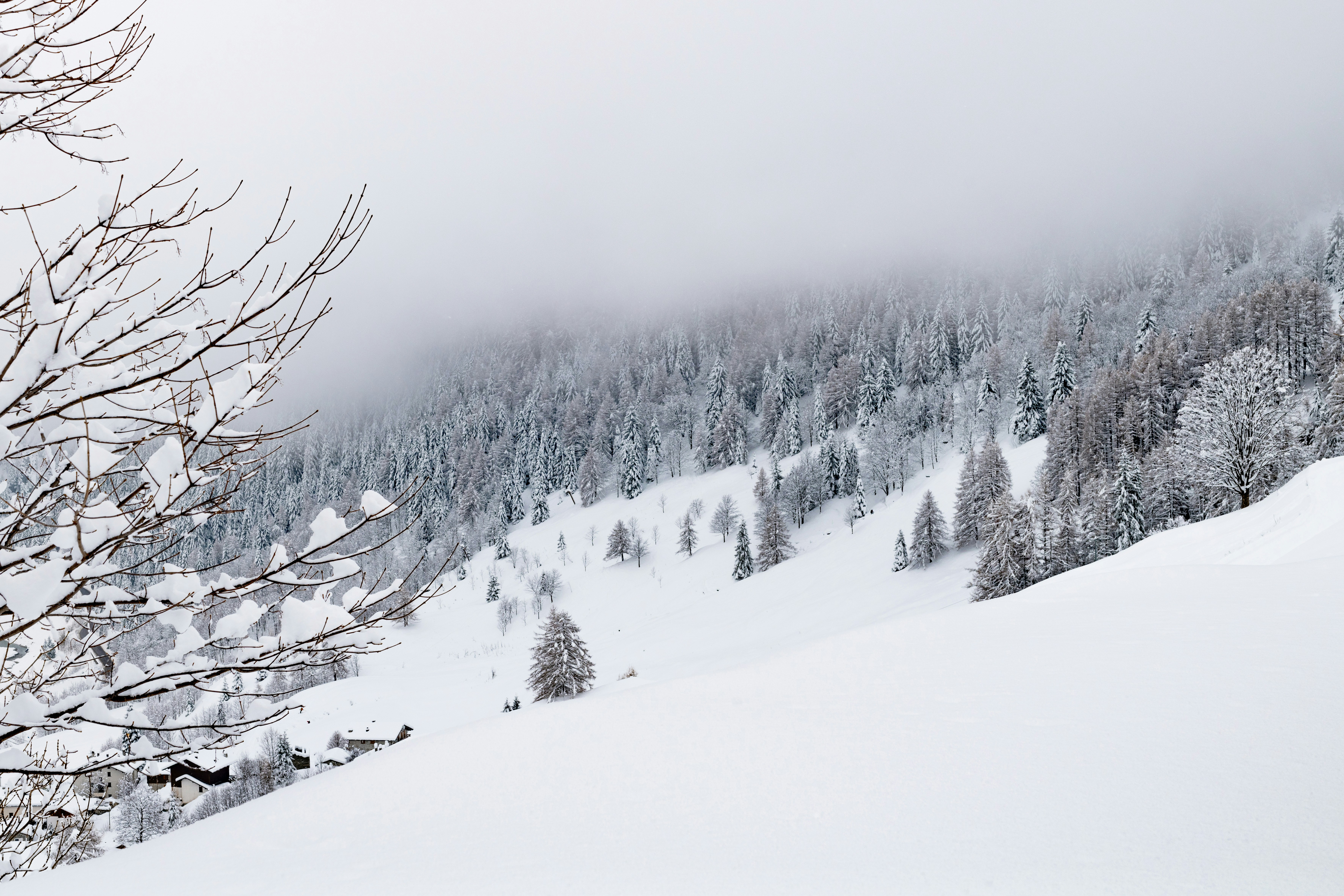 Photo by lauraadaiphoto