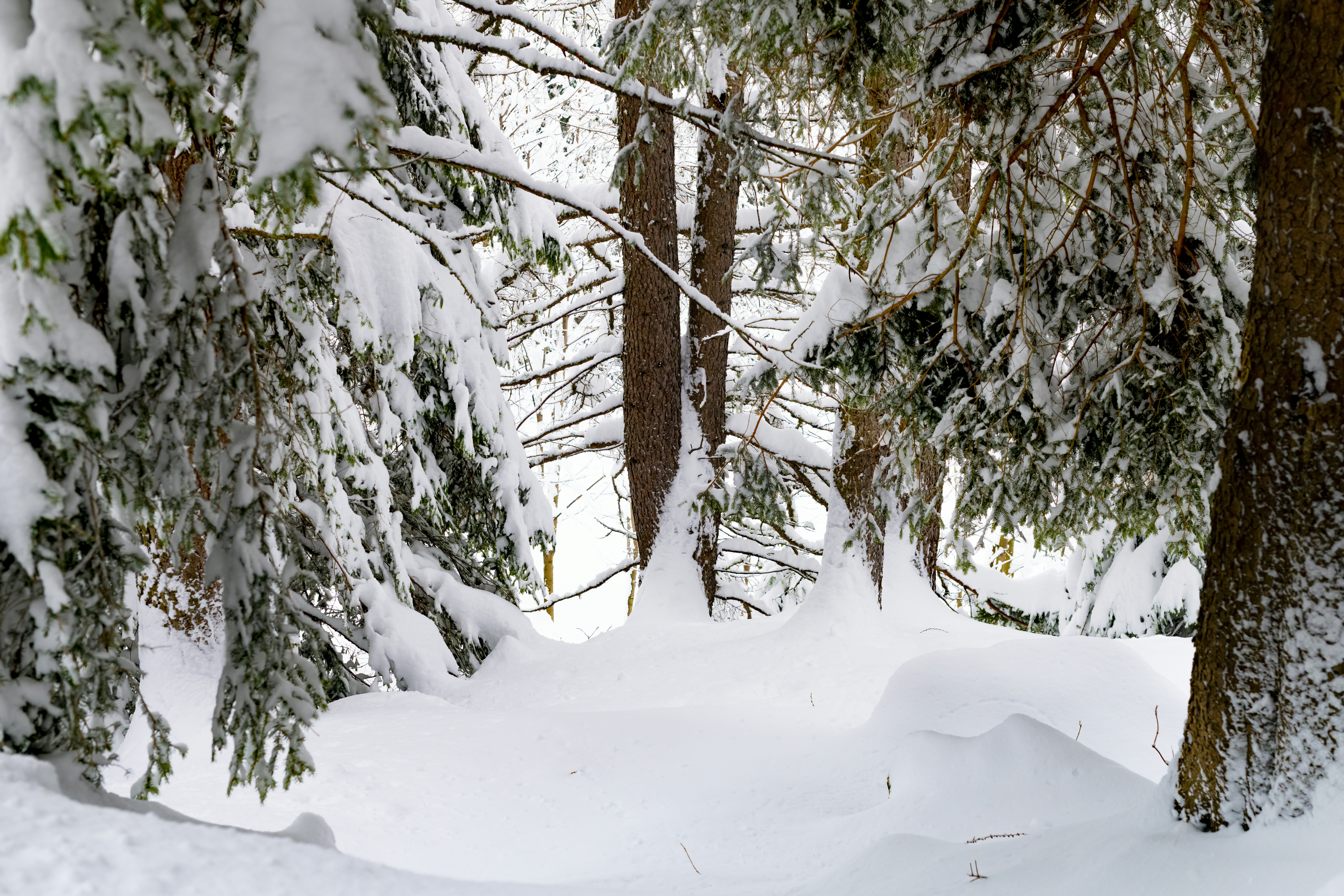 Photo by lauraadaiphoto