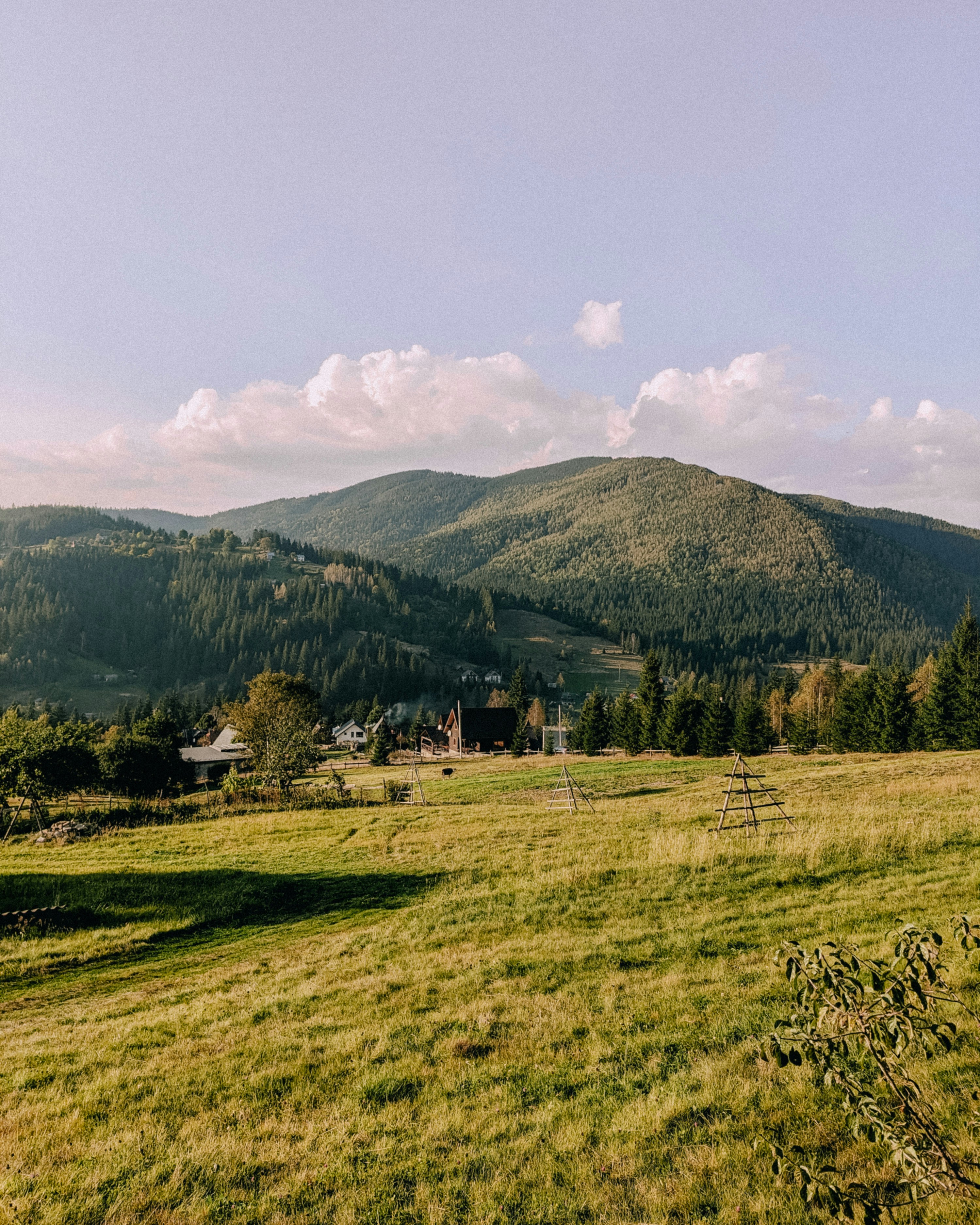 Photo by zhyzhyn