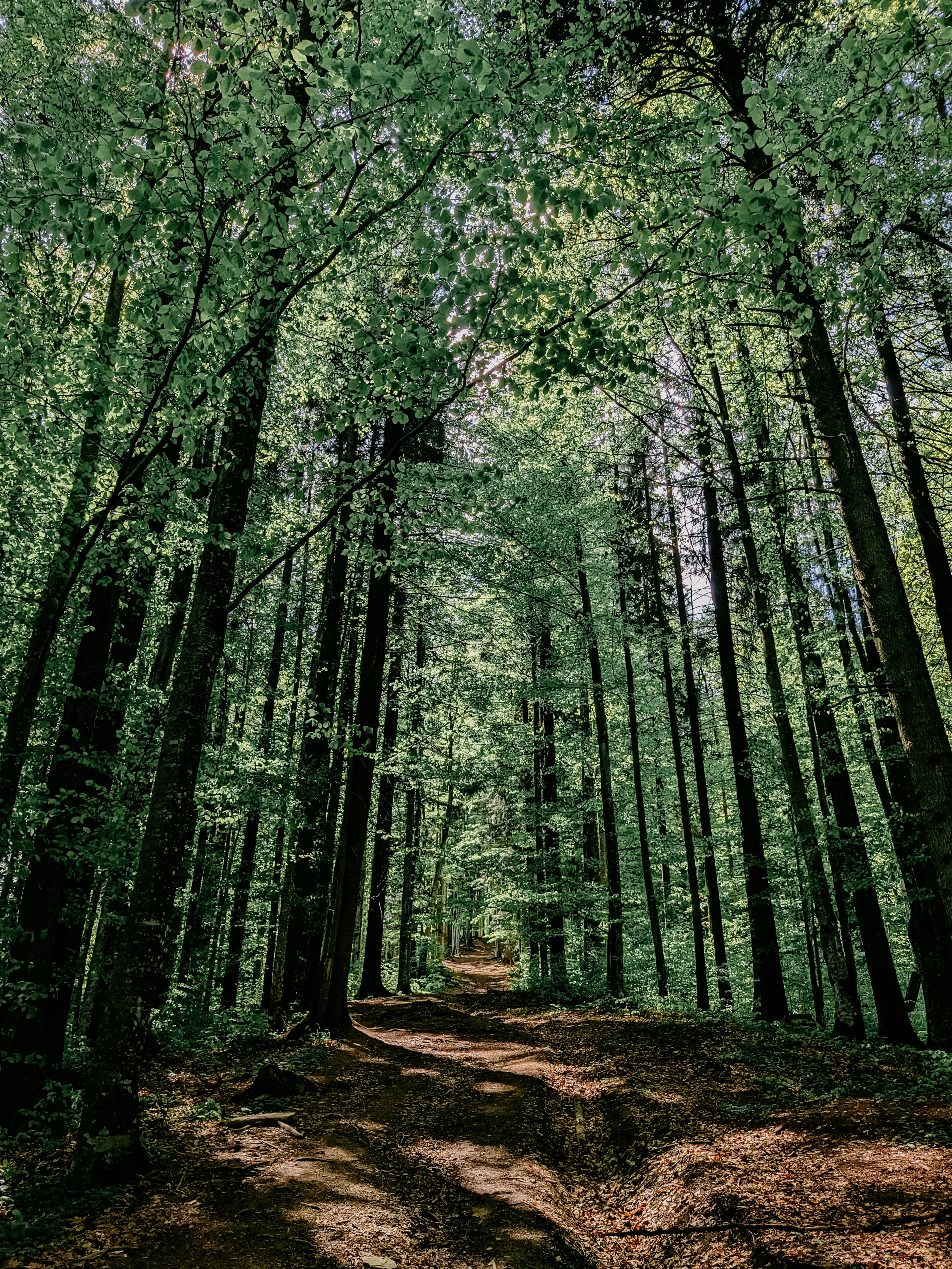 photo-1709894945614-4fdea455deeb?ixid=M3wxMjA3fDB8MXxzZWFyY2h8MTR8fGluc3Rhc3RvcnklMjBzYXZlcnxlbnwwfHx8fDE3MzM0MjI0MDV8MA\u0026ixlib=rb-4.0.3