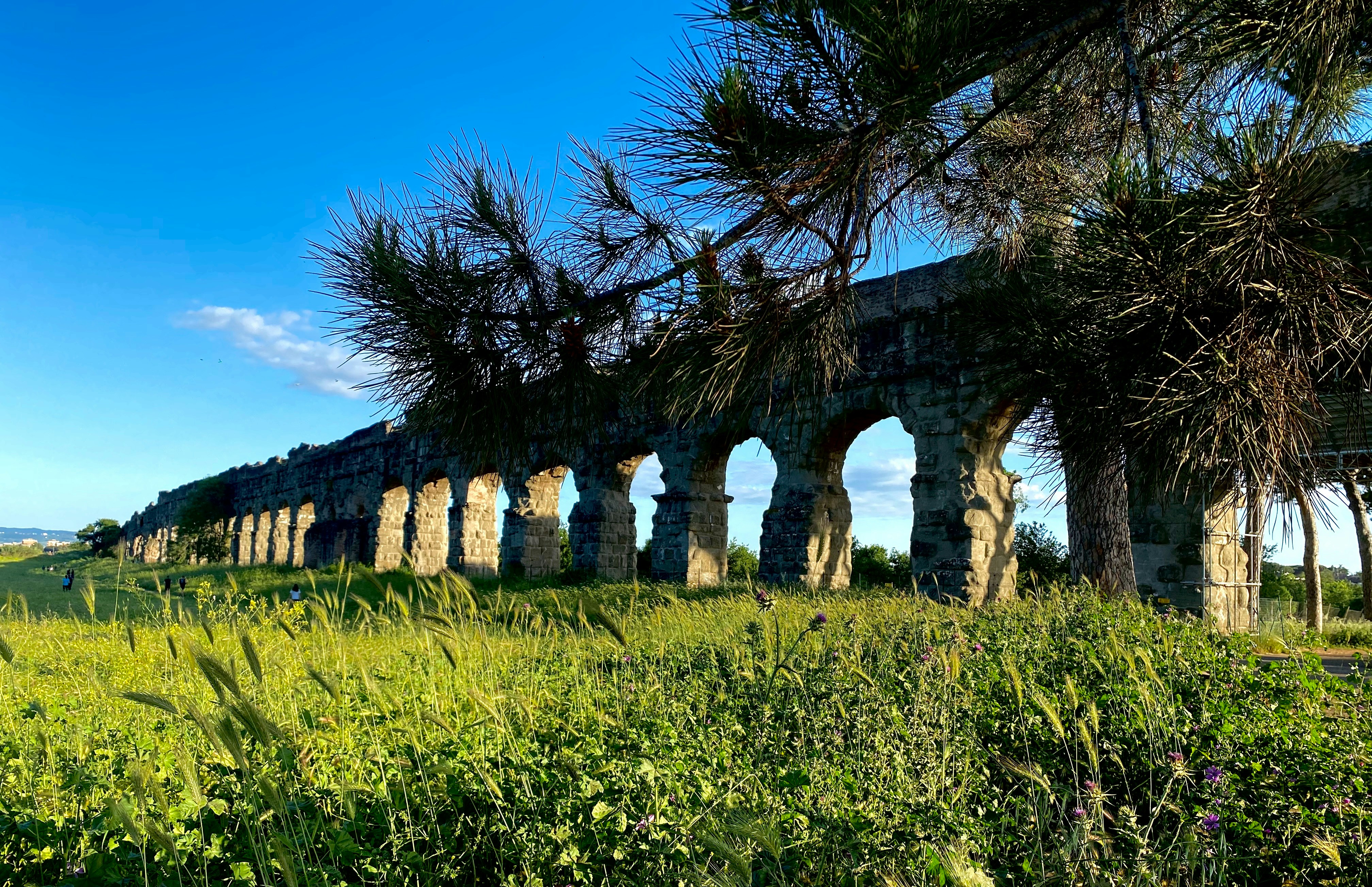 Photo by champpaoluzzi