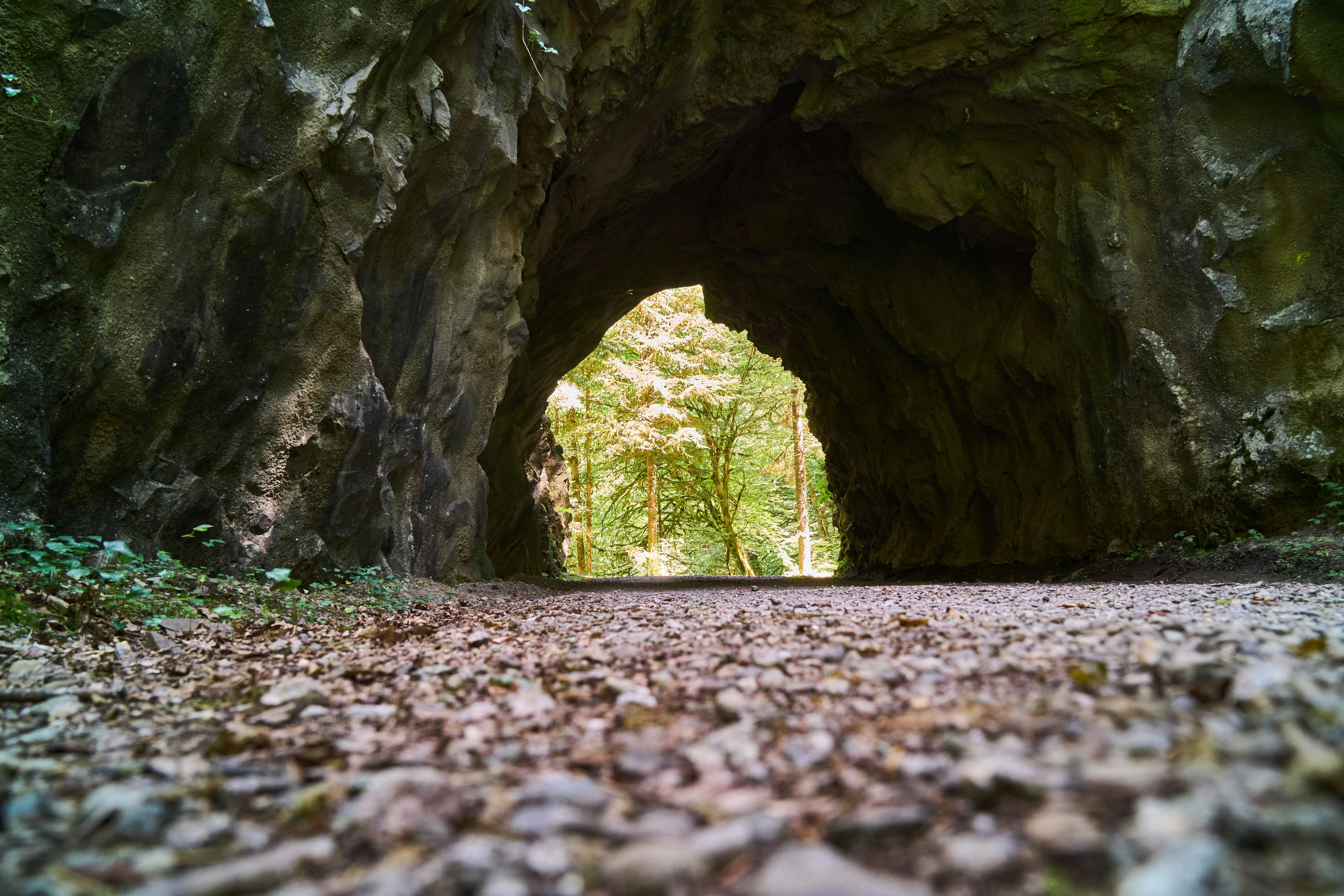 Photo by wolfgang_hasselmann