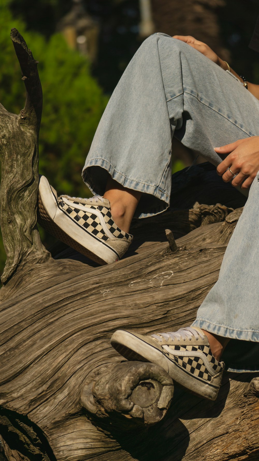 a person sitting on top of a tree stump