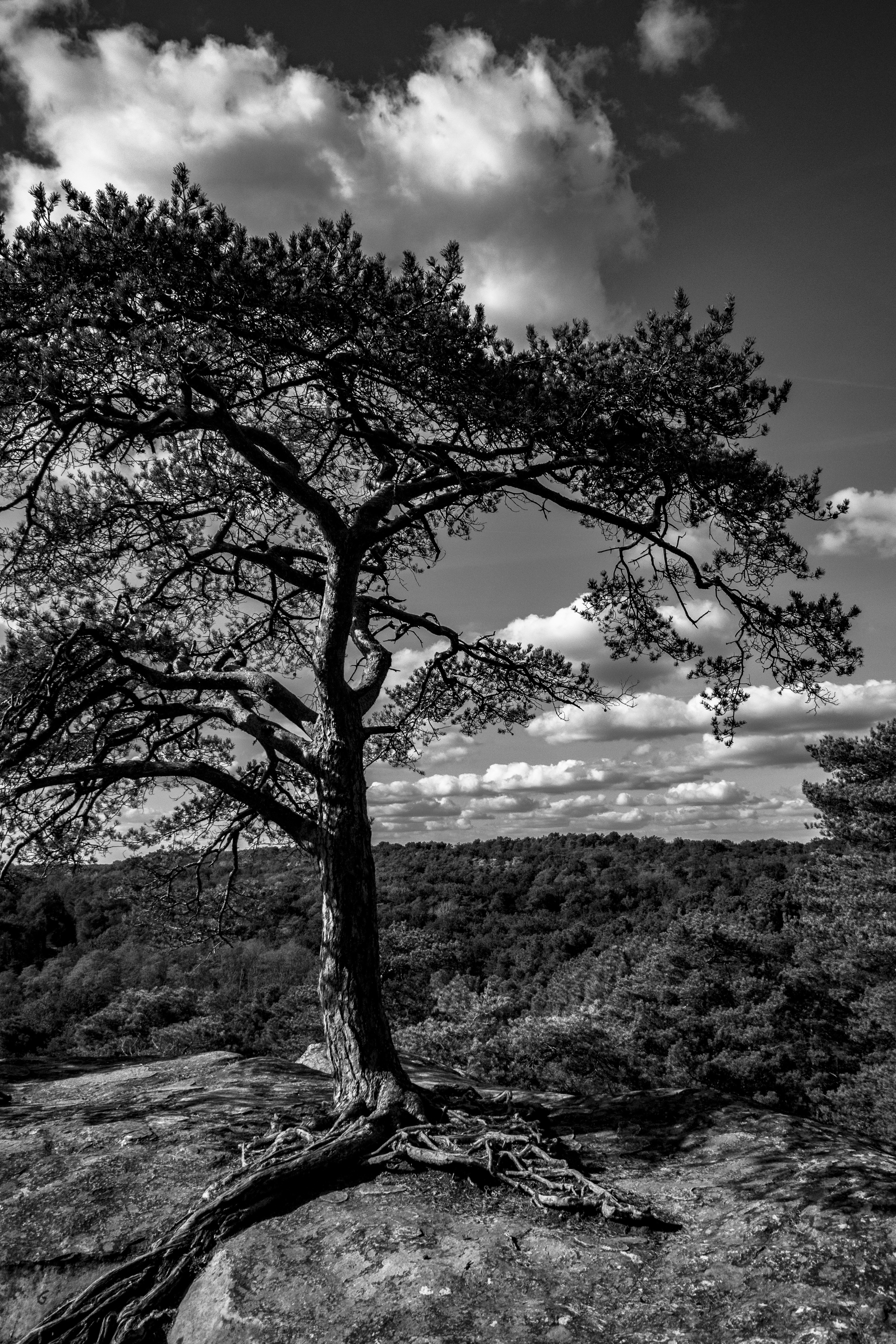 Photo by britosebastian