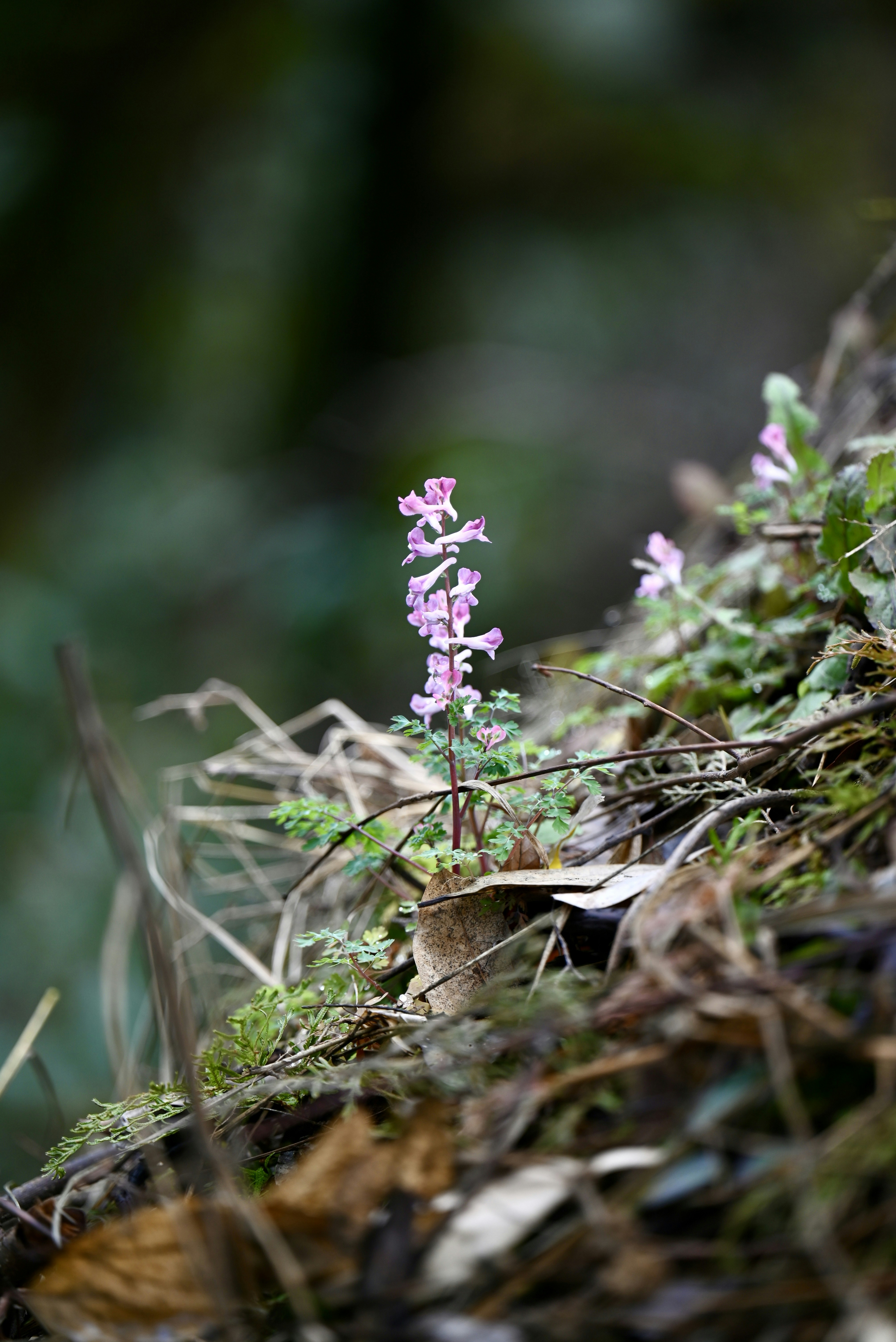 Photo by ezhang