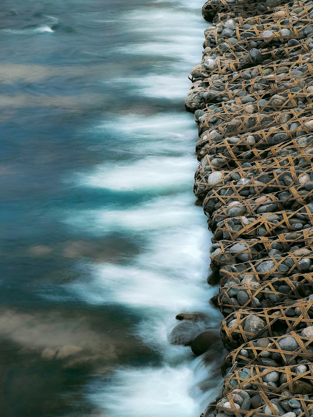 a bird sitting on top of a net next to a body of water