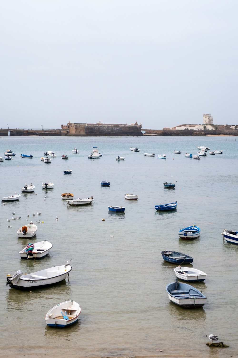 a group of boats floating on top of a body of water