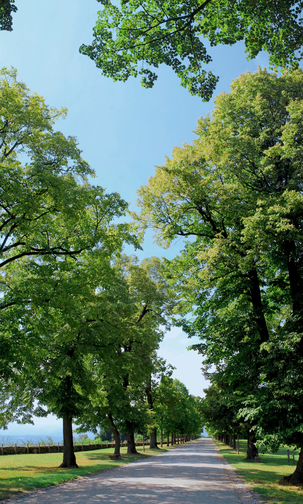 a paved road surrounded by trees and grass