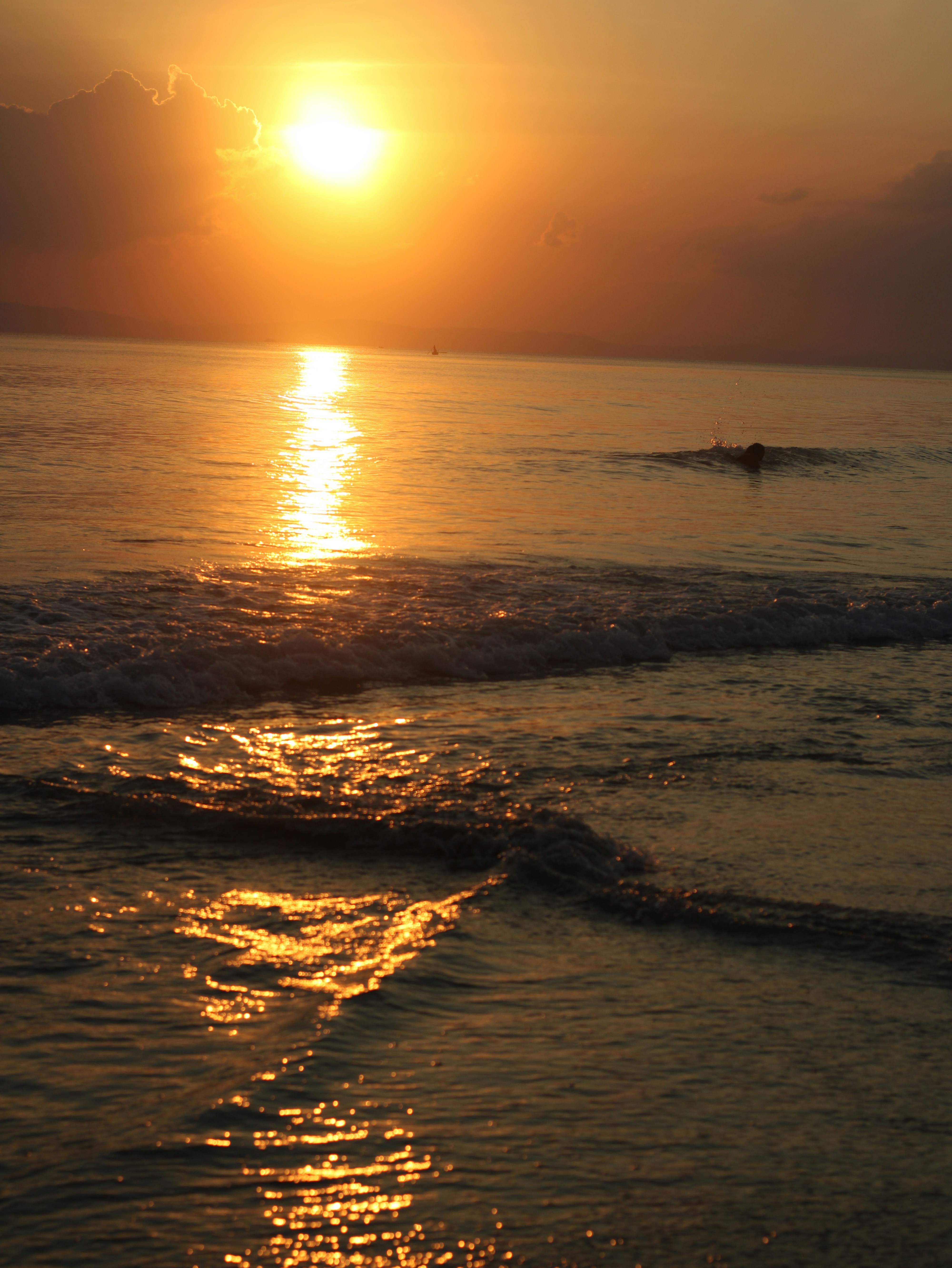 Dolphin swimming in the ocean at sunset, warm golden light